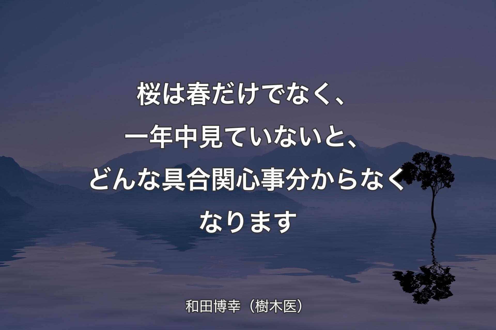 桜は春だけでなく、一年中見ていないと、どんな具合関心事分からなくなります - 和田博幸（樹木医）