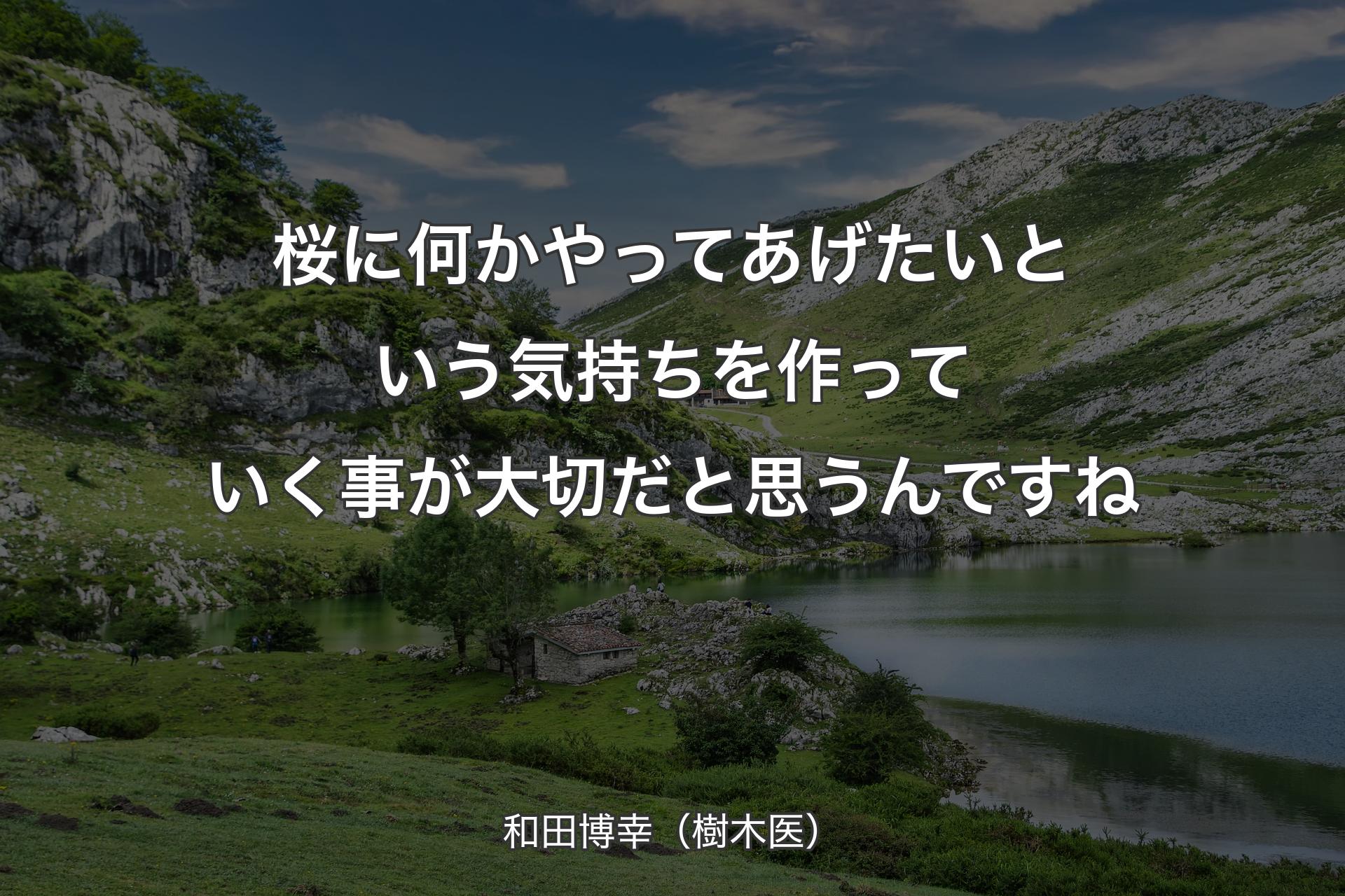 桜に何かやってあげたいという気持ちを作っていく事が大切だと思うんですね - 和田博幸（樹木医）