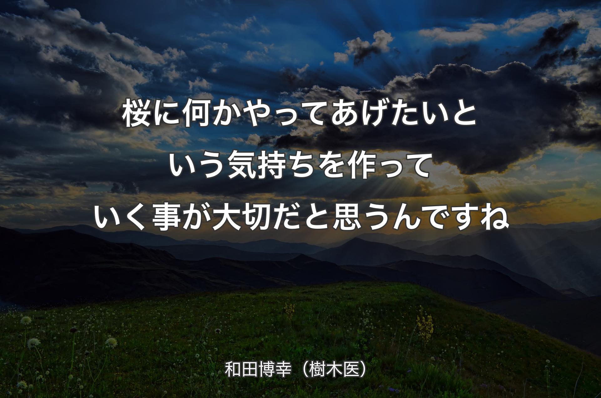 桜に何かやってあげたいという気持ちを作っていく事が大切だと思うんですね - 和田博幸（樹木医）