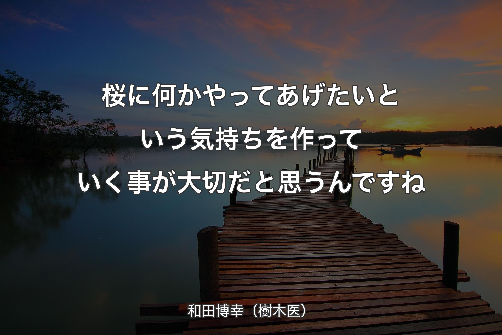 桜に何かやってあげたいという気持ちを作っていく事が大切だと思うんですね - 和田博幸（樹木医）