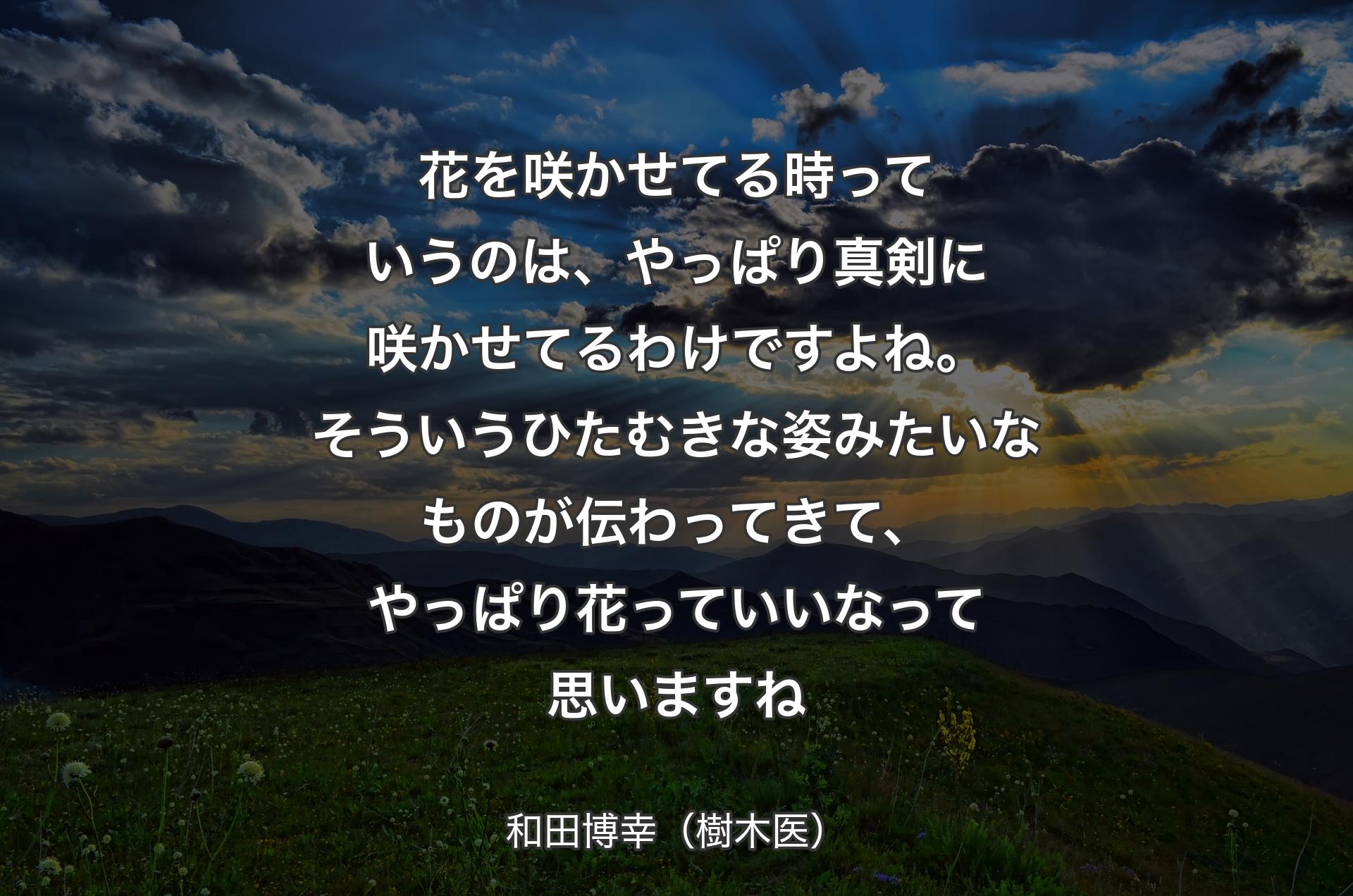 花を咲かせてる時っていうのは、やっぱり真剣に咲かせてるわけですよね。そういうひたむきな姿みたいなものが伝わってきて、やっぱり花っていいなって思いますね - 和田博幸（樹木医）