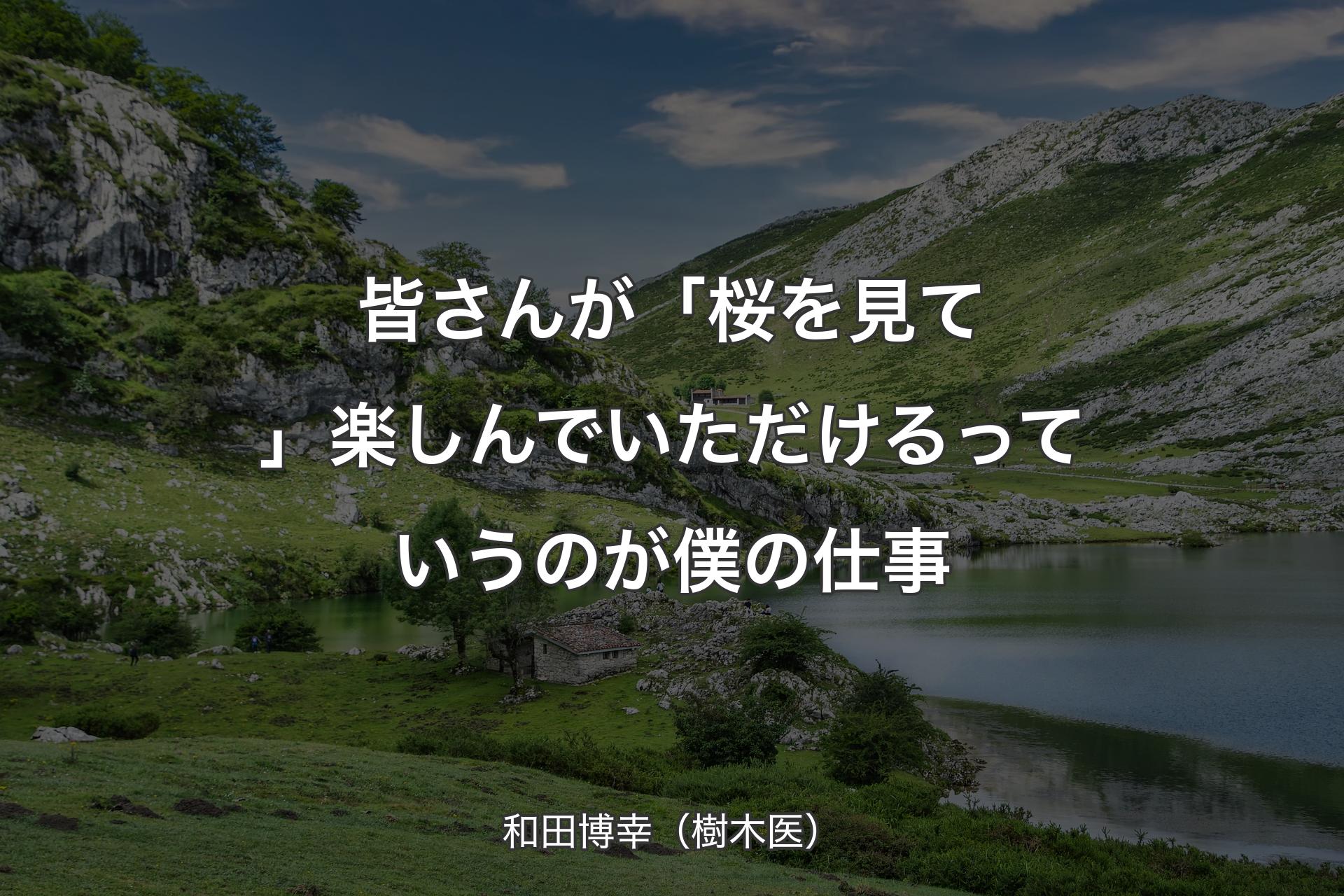 皆さんが「桜を見て」楽しんでいただけるっていうのが僕の仕事 - 和田博幸（樹木医）