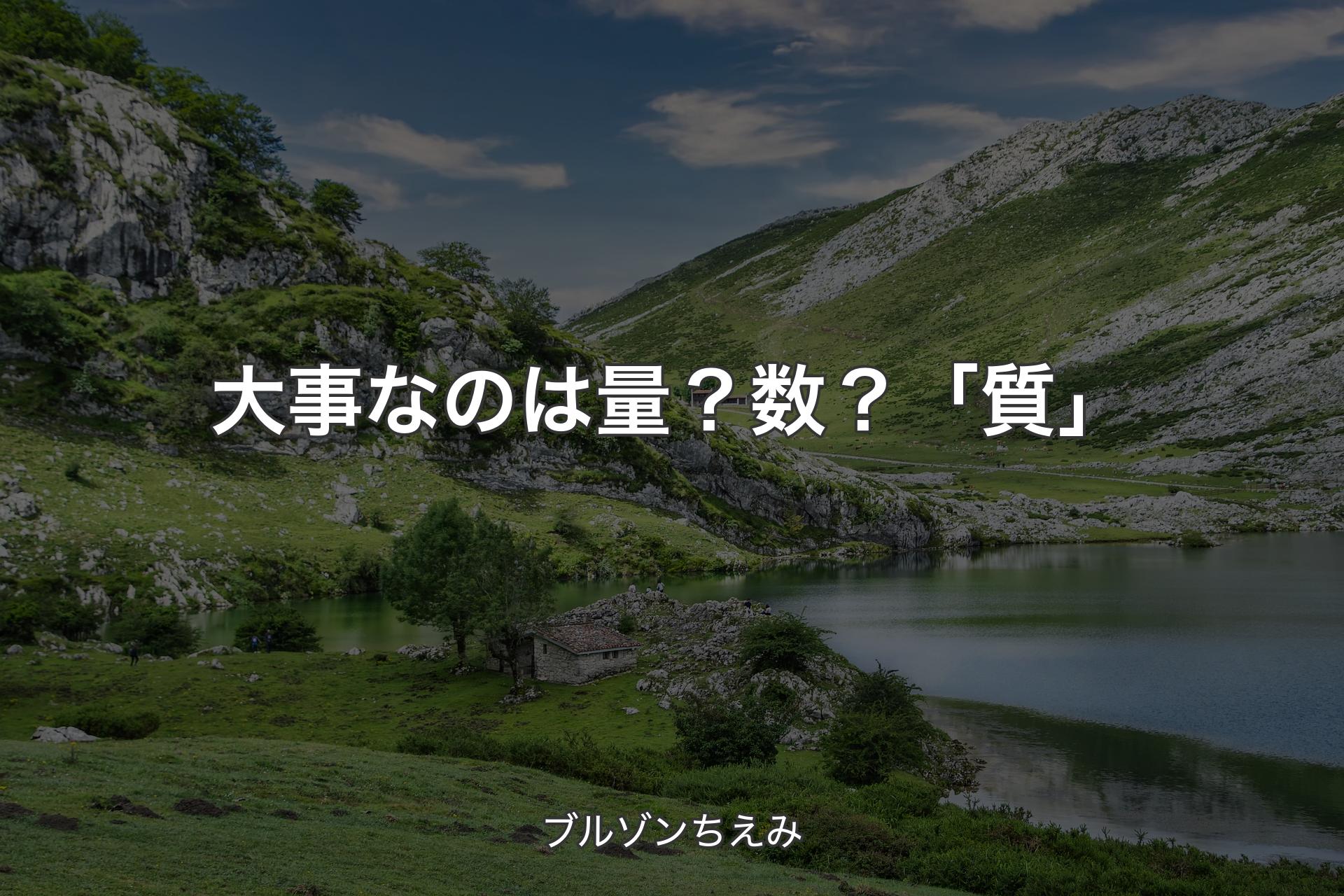 【背景1】大事なのは量？数？「質」 - ブルゾンちえみ