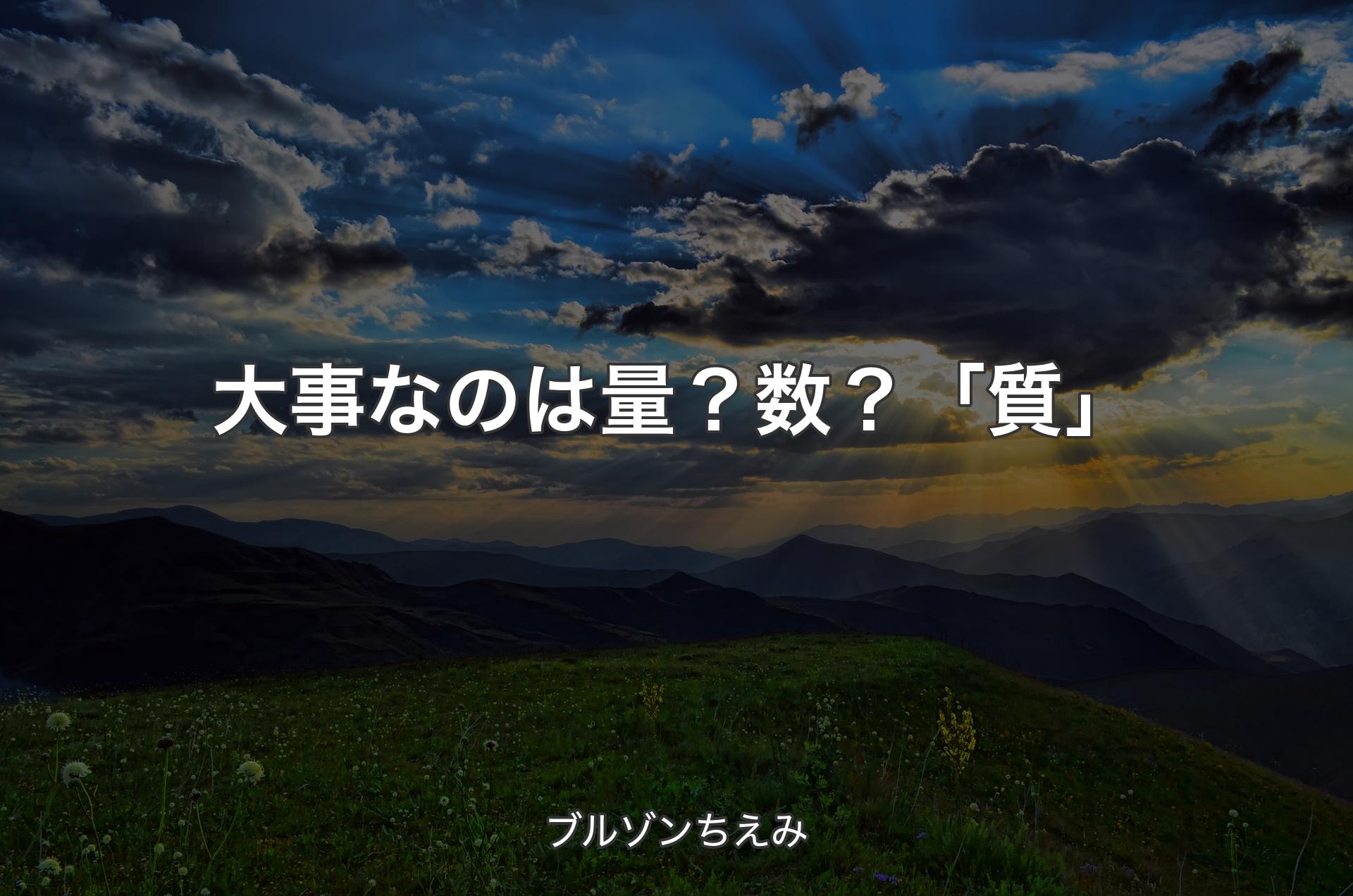 大事なのは量？数？「質」 - ブルゾンちえみ