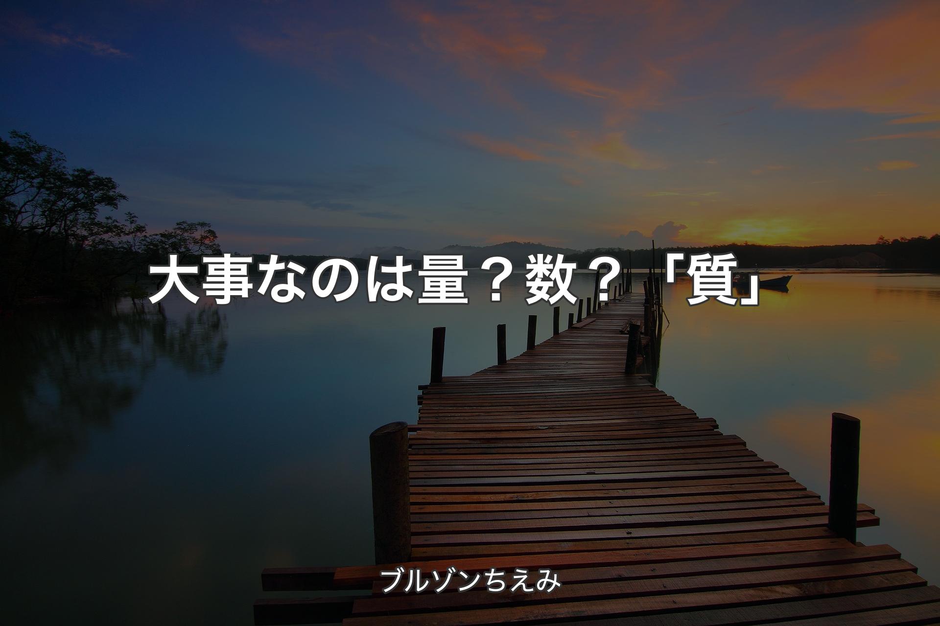 【背景3】大事なのは量？数？「質」 - ブルゾンちえみ