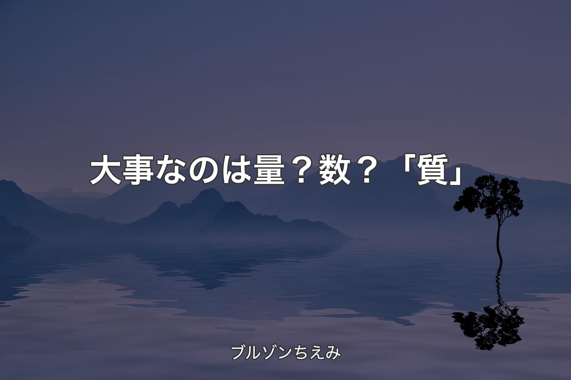 【背景4】大事なのは量？数？「質」 - ブルゾンちえみ