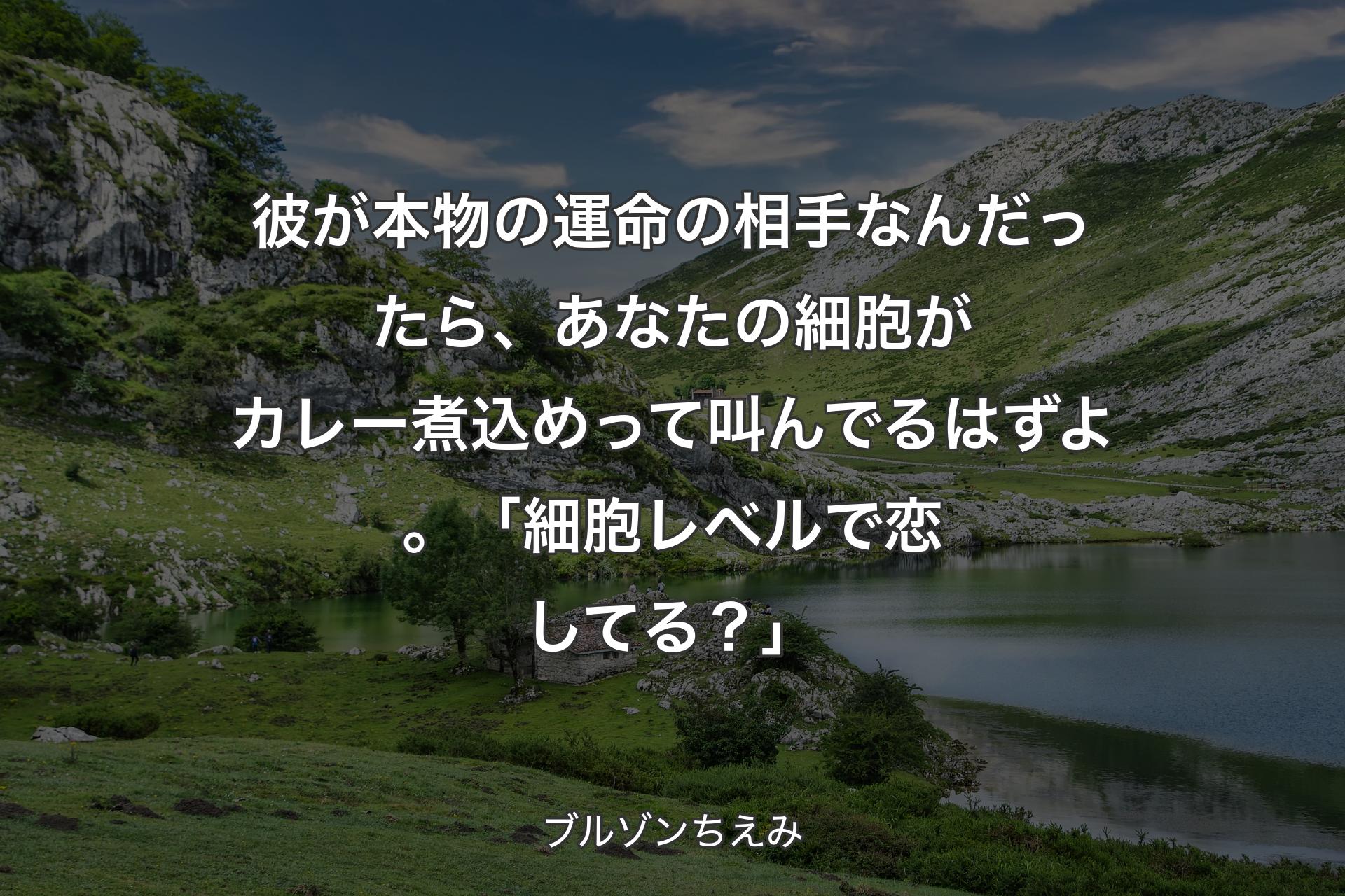 【背景1】彼が本物の運命の相手なんだったら、あなたの細胞がカレー煮込めって叫んでるはずよ。「細胞レベルで恋してる？」 - ブルゾンちえみ