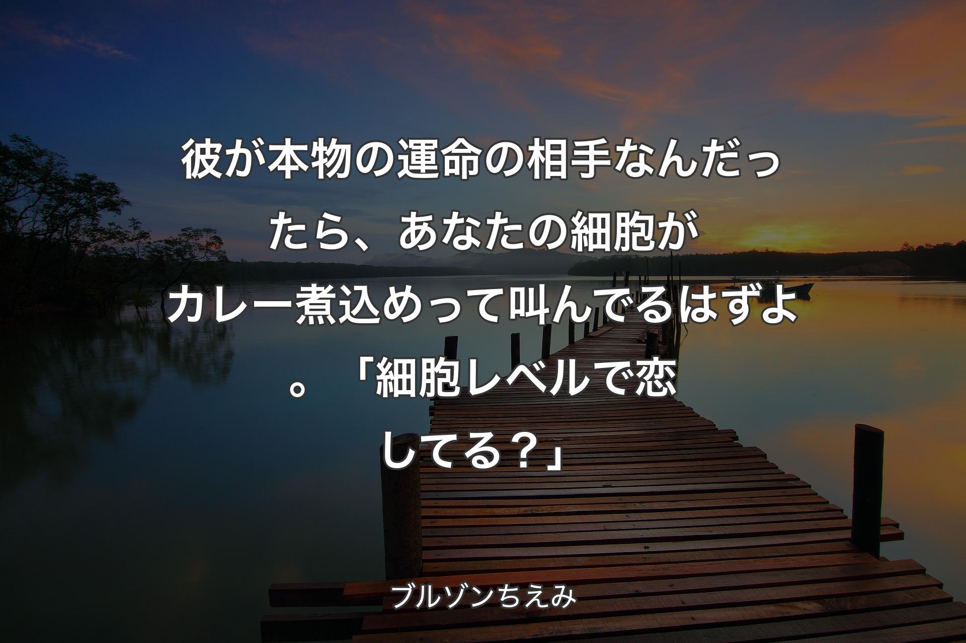 彼が本物の運命の相手なんだったら、あなたの細胞がカレー煮込めって叫んでるはずよ。「細胞レベルで恋してる？」 - ブルゾンちえみ