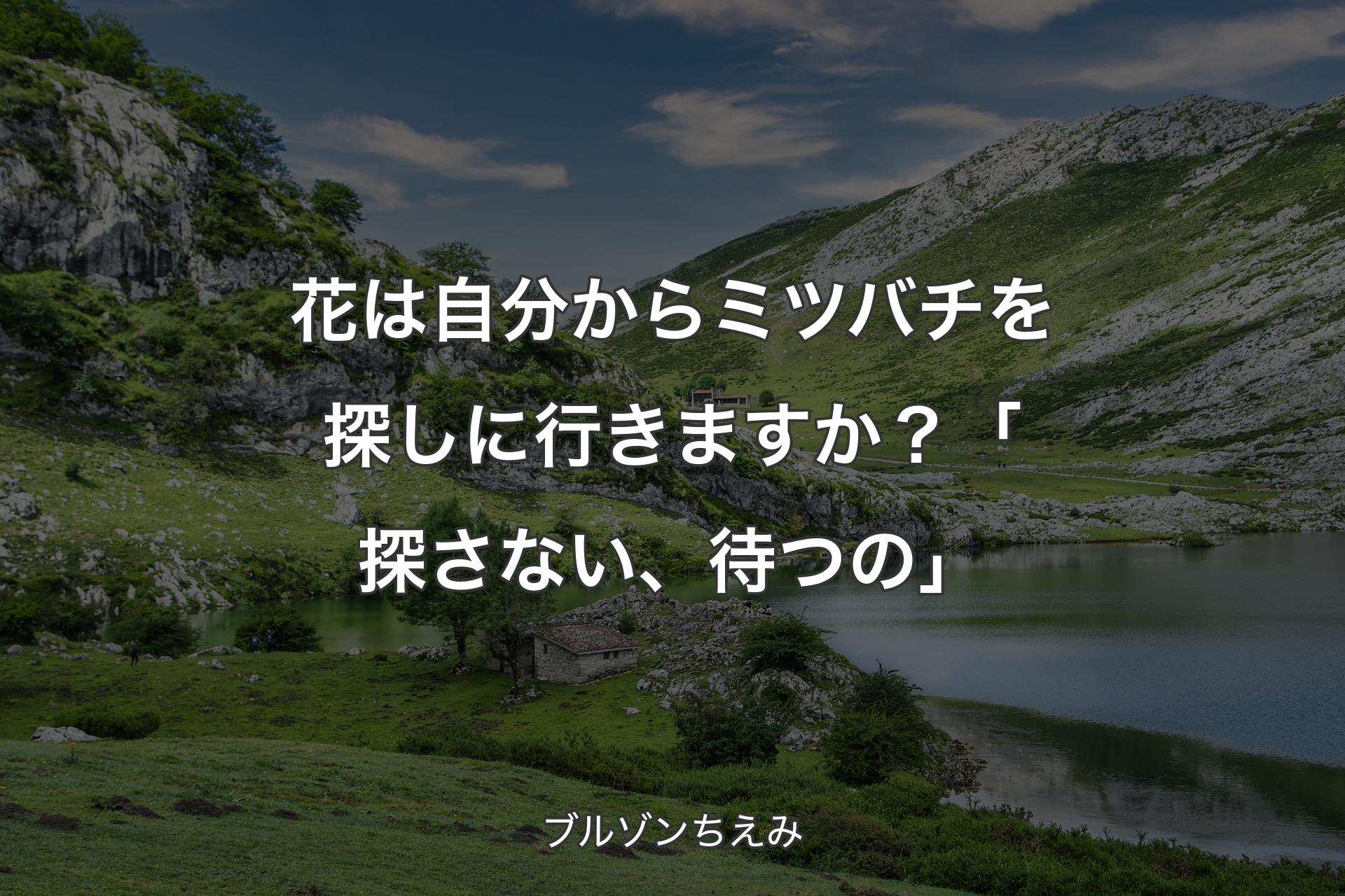 花は自分からミツバチを探しに行きますか？「探さない、待つの」 - ブルゾンちえみ