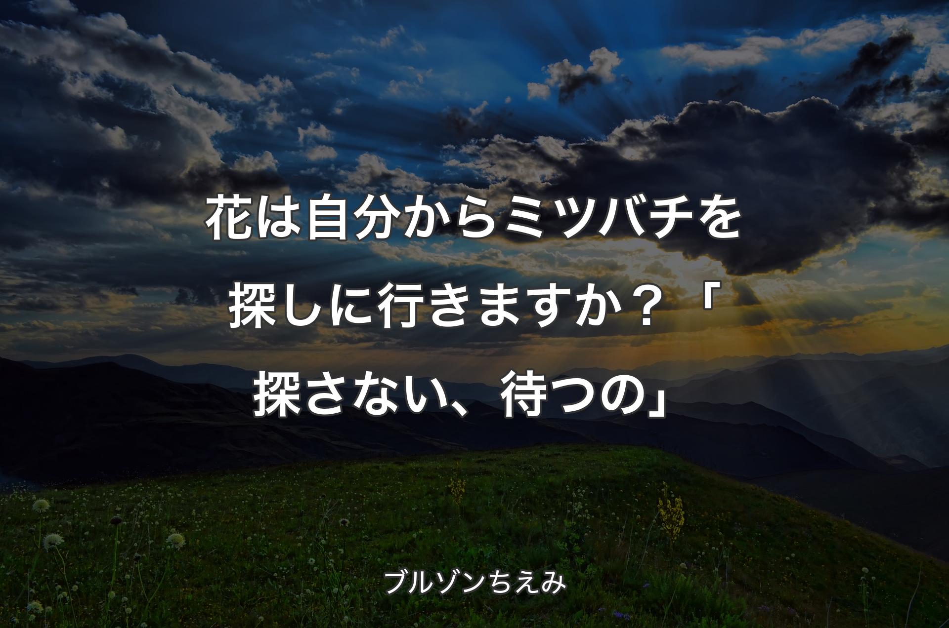 花は自分からミツバチを探しに行きますか？「探さない、待つの」 - ブルゾンちえみ