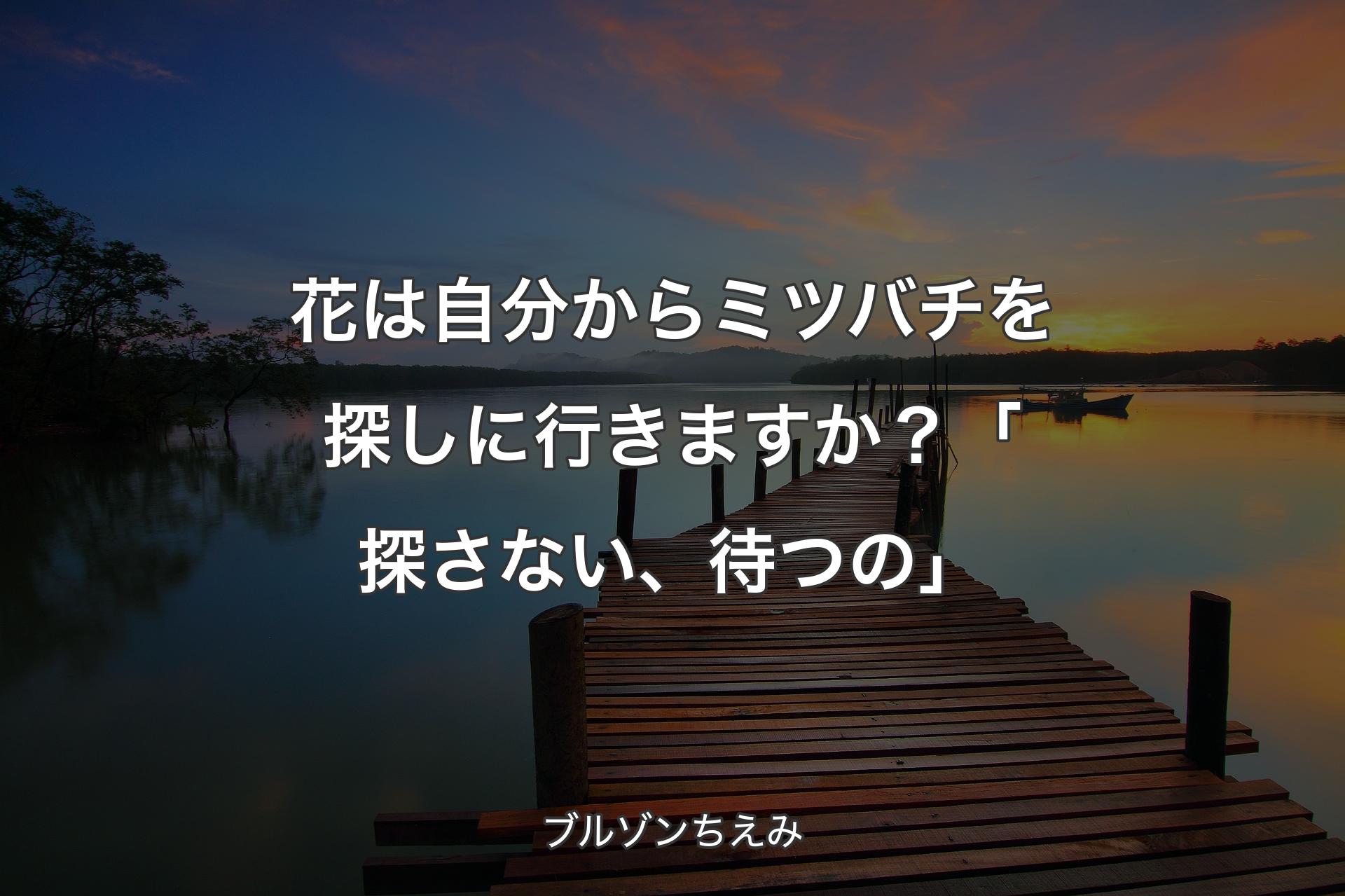 花は自分からミツバチを探しに行きますか？「探さない、待つの」 - ブルゾンちえみ