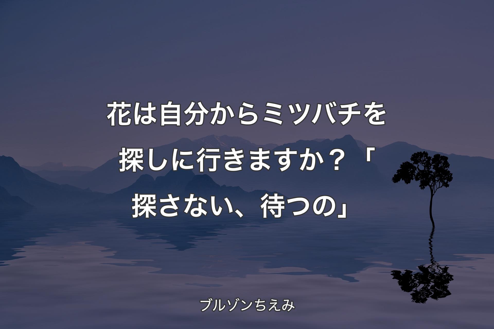 花は自分からミツバチを探しに行きますか？「探さない、待つの」 - ブルゾンちえみ