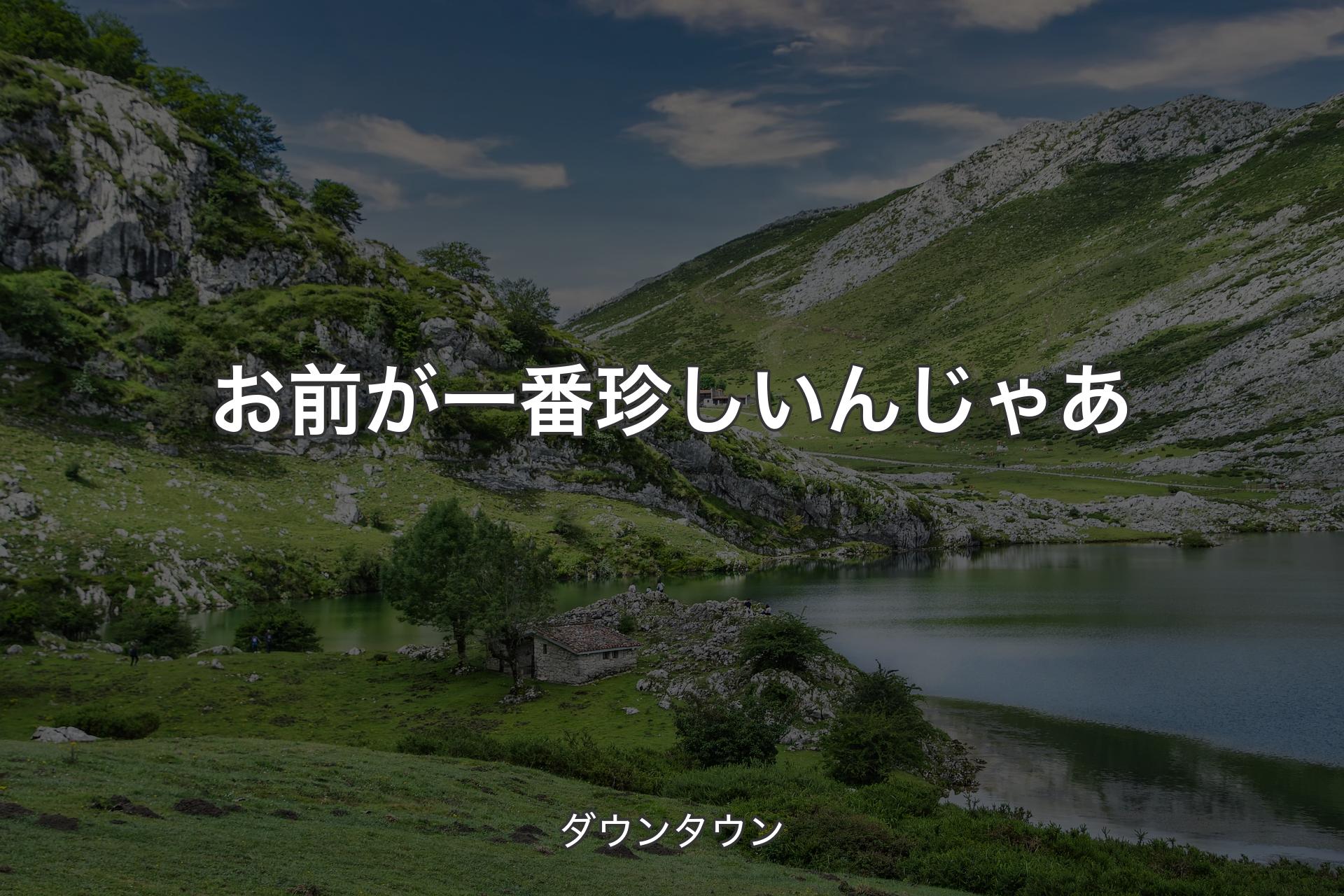 【背景1】お前が一番珍しいんじゃあ - ダウンタウン