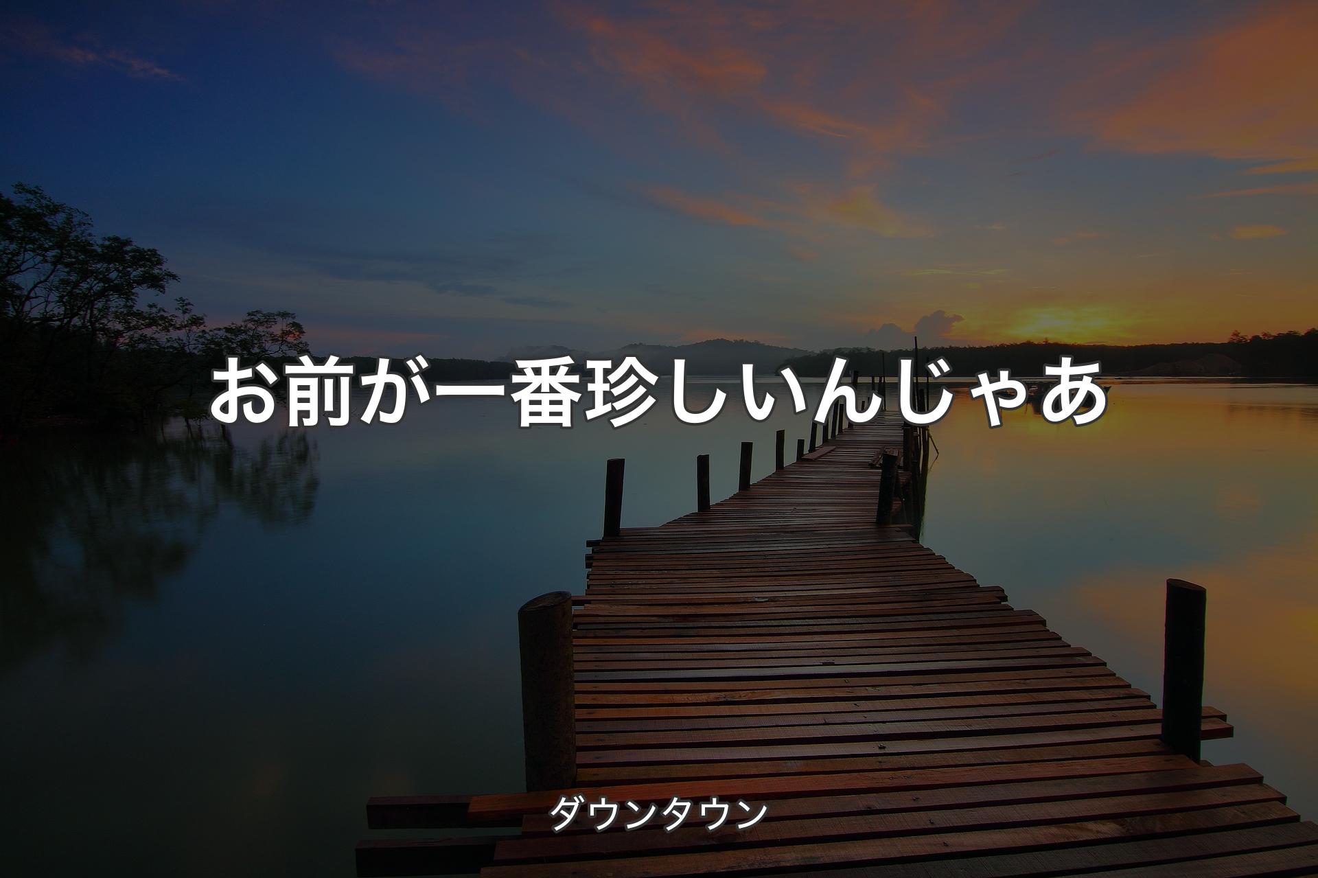 【背景3】お前が一番珍しいんじゃあ - ダウンタウン