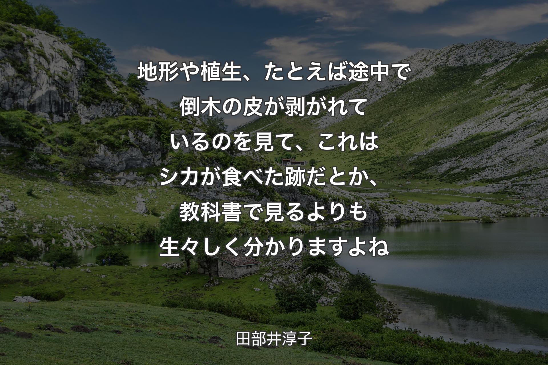 【背景1】地形や植生、たとえば途中で倒木の皮が剥がれているのを見て、これはシカが食べた跡だとか、教科書で見るよりも生々しく分かりますよね - 田部井淳子