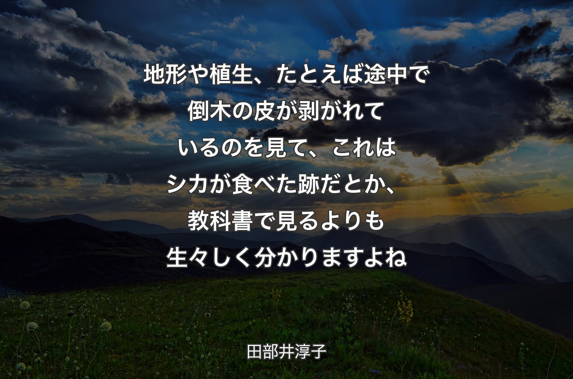 地形や植生、たとえば途中で倒木の皮が剥がれているのを見て、これはシカが食べた跡だとか、教科書で見るよりも生々しく分かりますよね - 田部井淳子