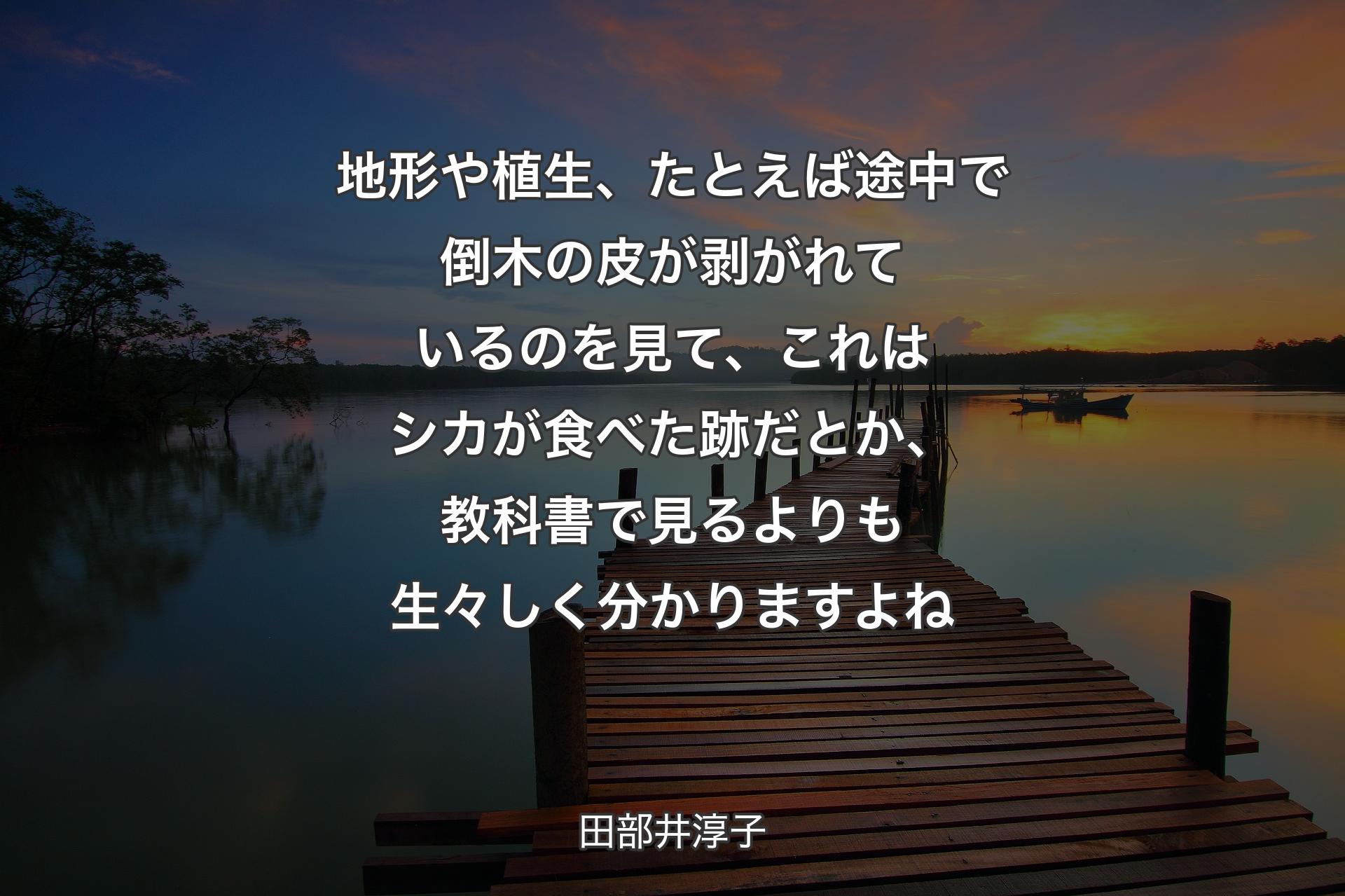 【背景3】地形や植生、たとえば途中で倒木の皮が剥がれているのを見て、これはシカが食べた跡だとか、教科書で見るよりも生々しく分かりますよね - 田部井淳子