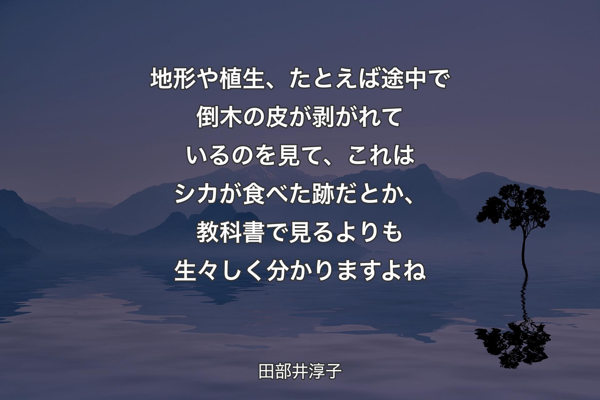 【背景4】地形や植生、たとえば途中で倒木の皮が剥がれているのを見て、これはシカが食べた跡だとか、教科書で見るよりも生々しく分かりますよね - 田部井淳子