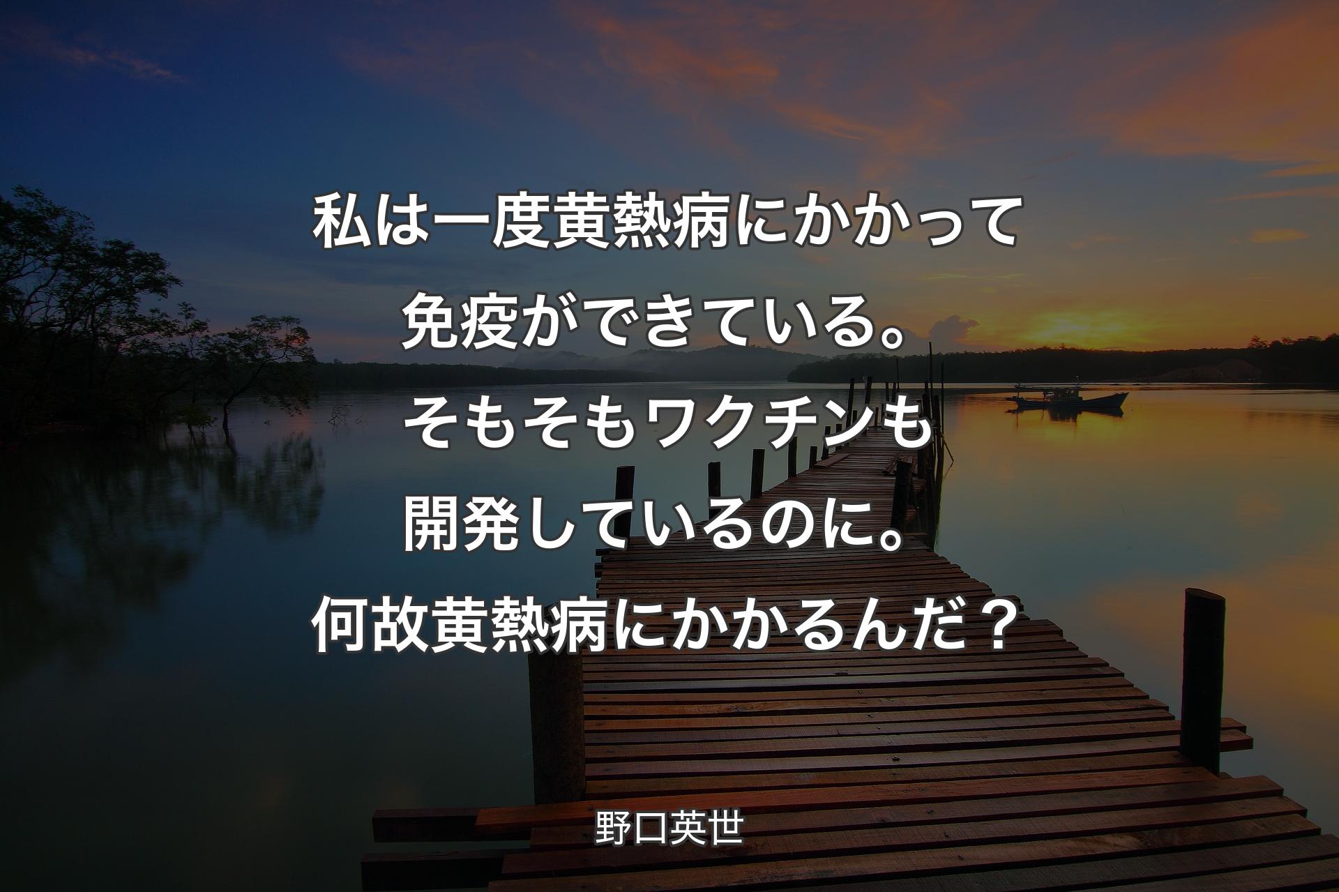 私は一度黄熱病にかかって免疫ができている。そもそもワクチンも開発しているのに。何故黄熱病にかかるんだ？ - 野口英世