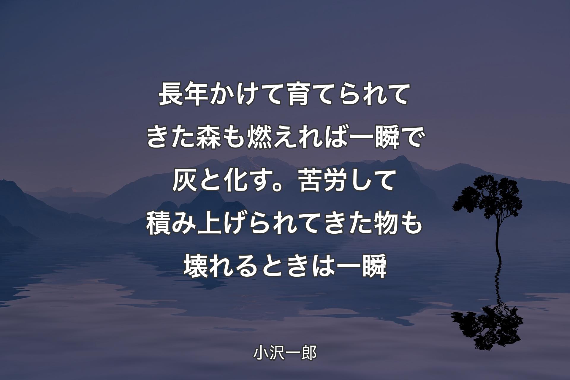 【背景4】長年かけて育てられてきた森も燃えれば一瞬で灰と化す。苦労して積み上げられてきた物も壊れるときは一瞬 - 小沢一郎