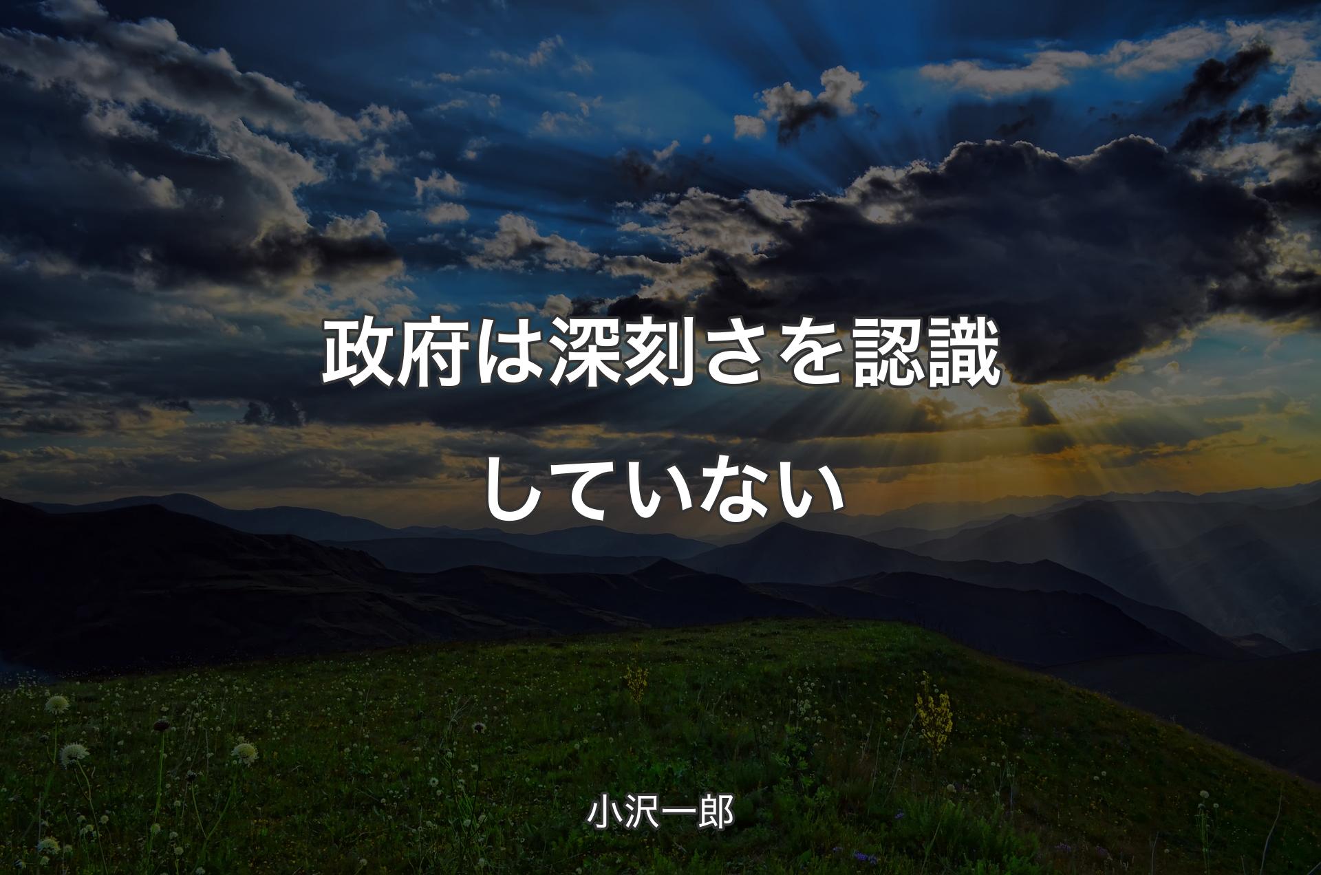 政府は深刻さを認識していない - 小沢一郎