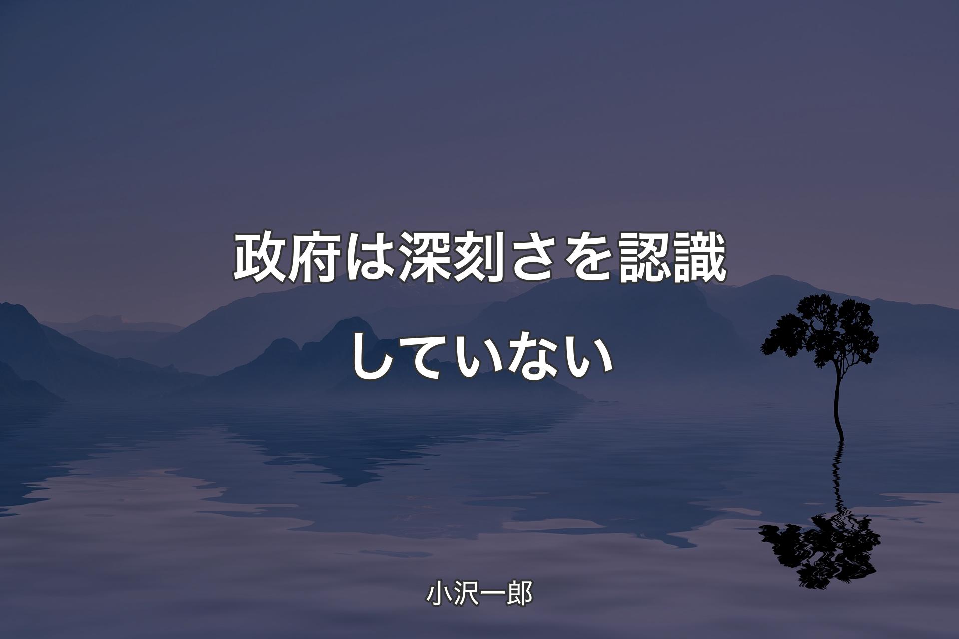 【背景4】政府は深刻さを認識していない - 小沢一郎