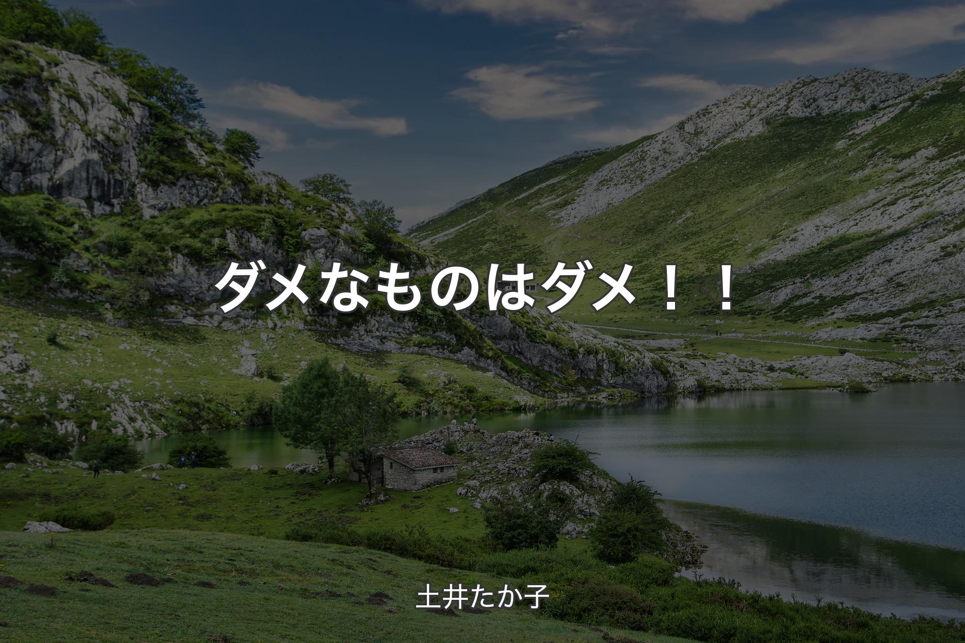 【背景1】ダメなものはダメ！！ - 土井たか子