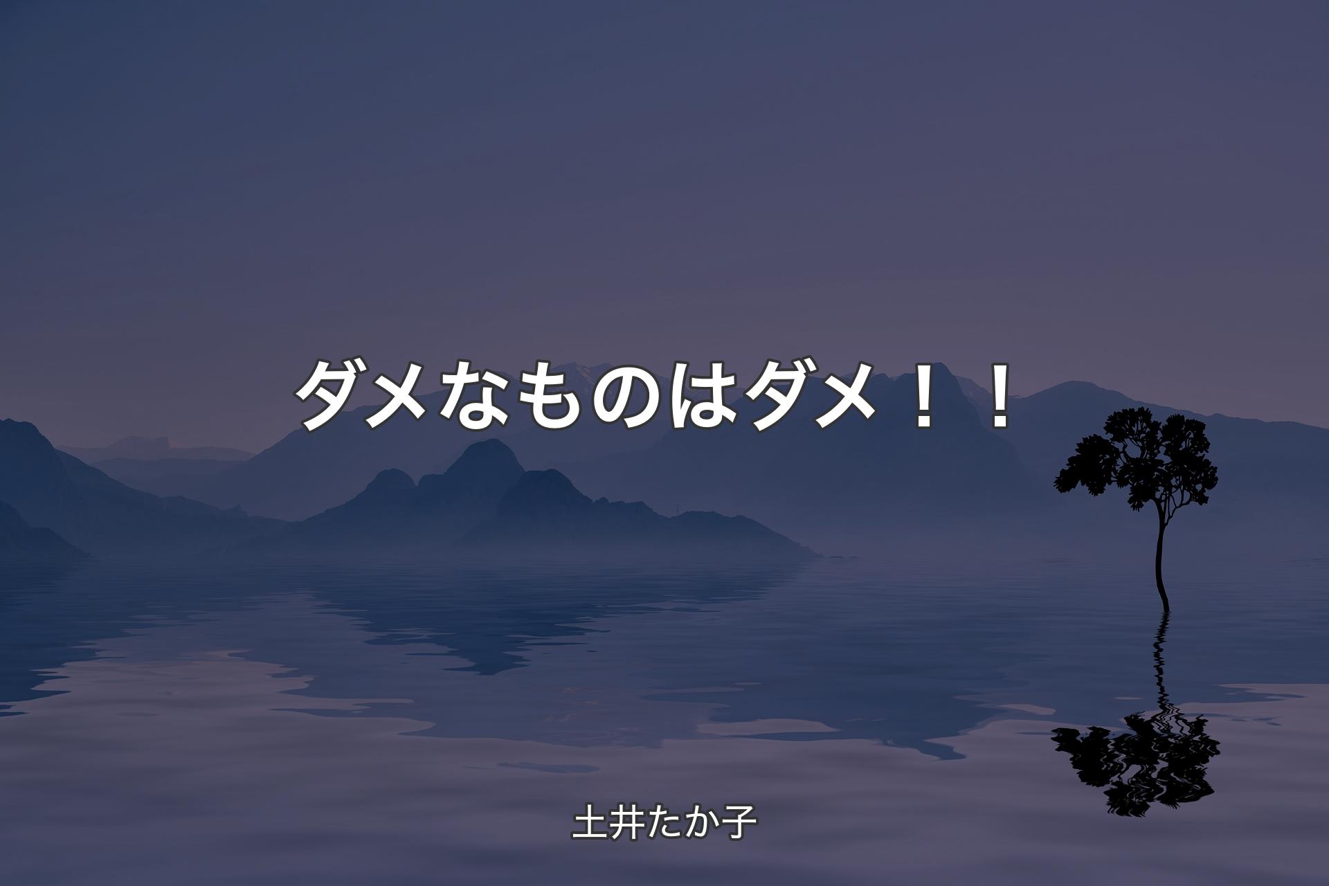 【背景4】ダメなものはダメ！！ - 土井たか子