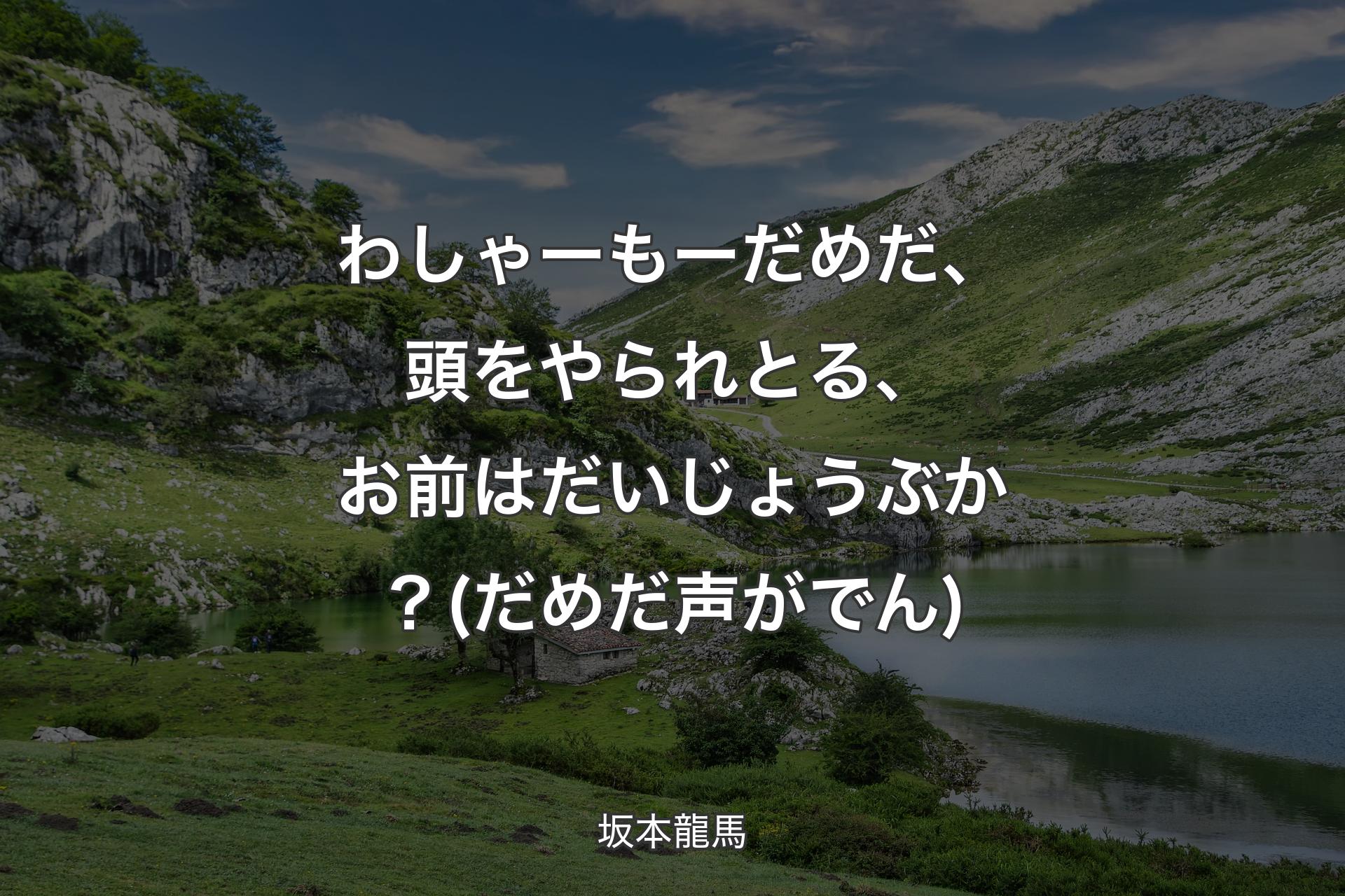 【背景1】わしゃーもーだめだ、頭をやられとる、お前はだいじょうぶか？(だめだ声がでん) - 坂本龍馬