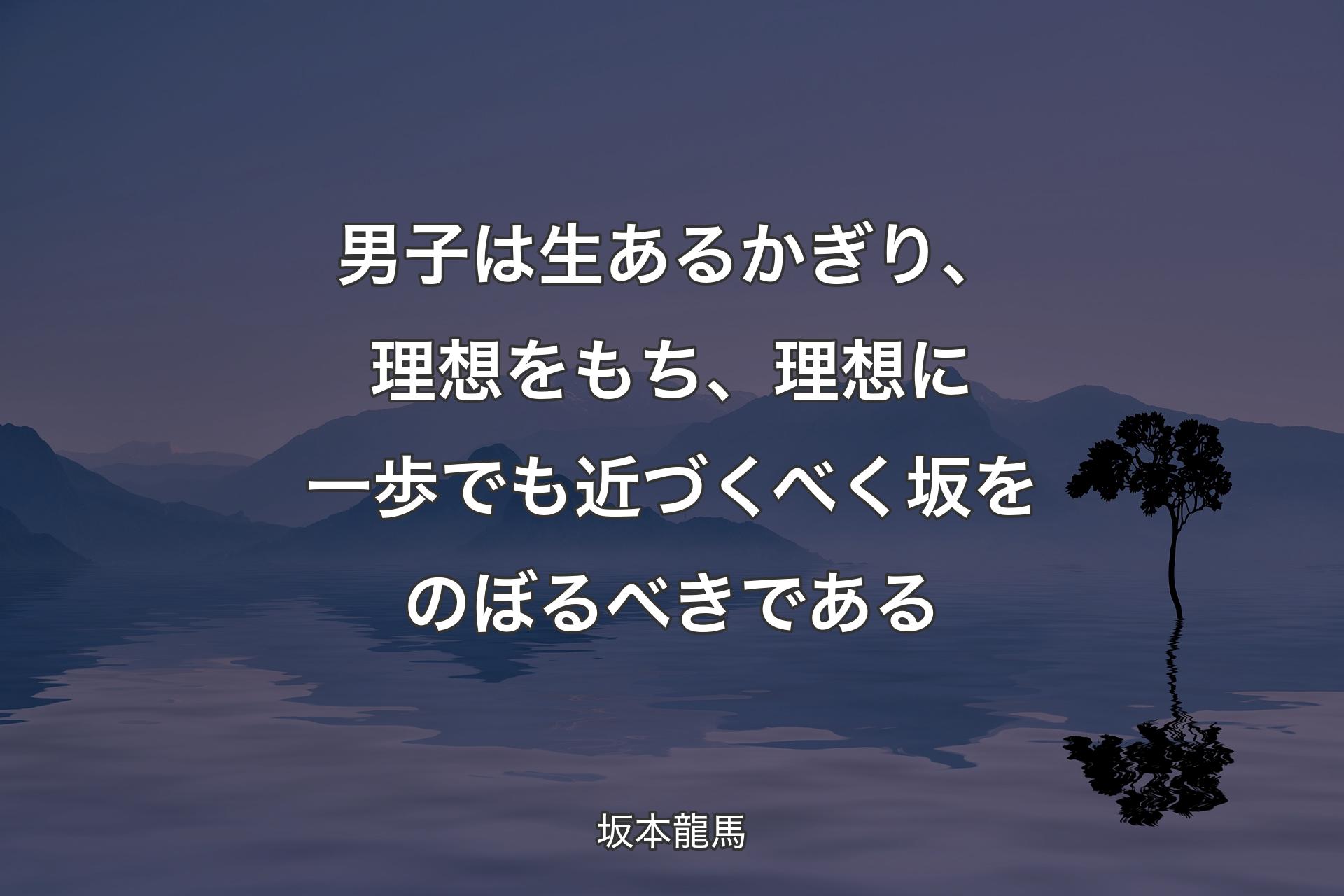 【背景4】男子は生あるかぎり、理想をもち、理想に一歩でも近づくべく坂をのぼるべきである - 坂本龍馬