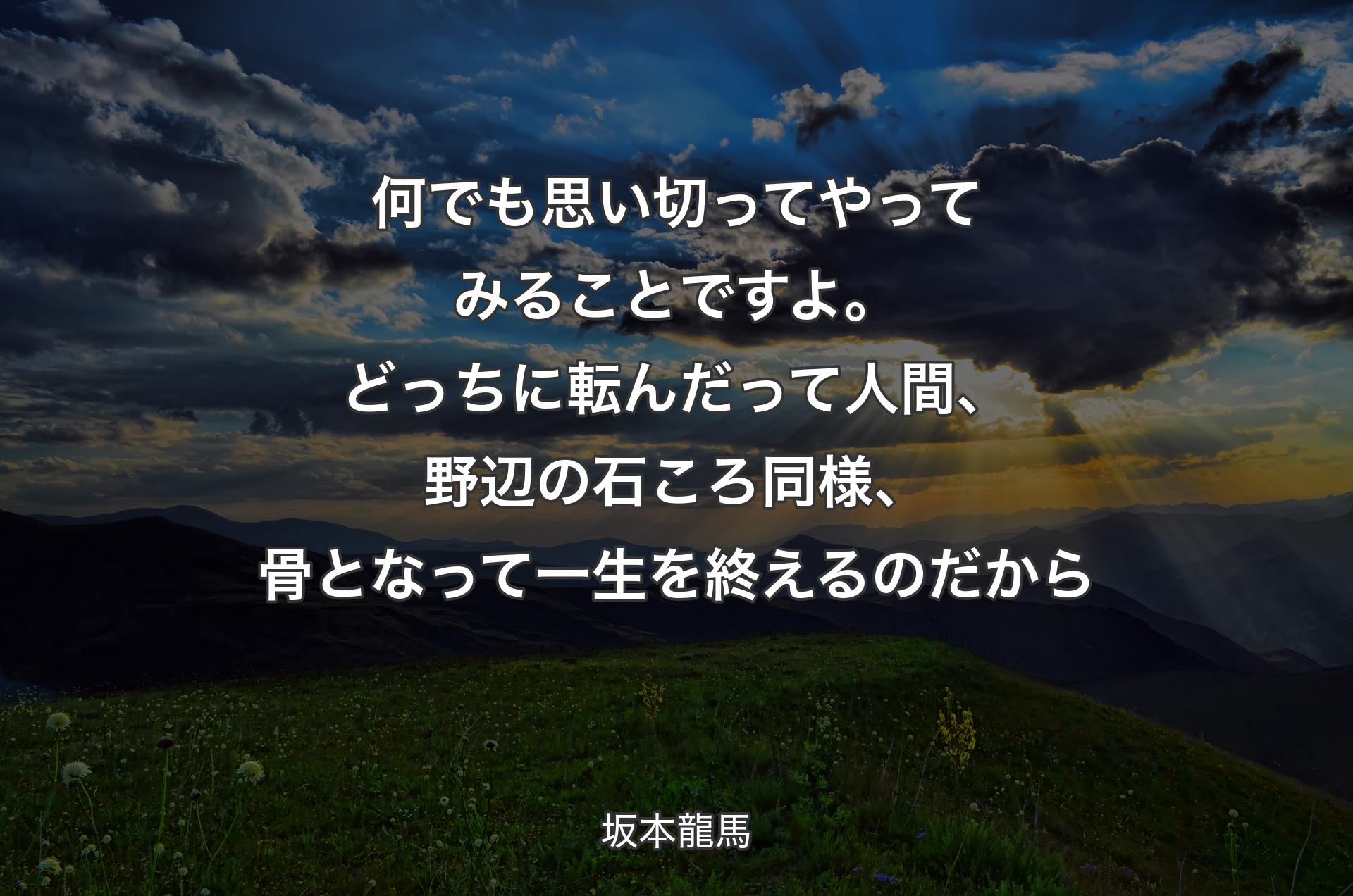 何でも思い切ってやってみることですよ。どっちに転んだって人間、野辺の石ころ同様、骨となって一生を終えるのだから - 坂本龍馬