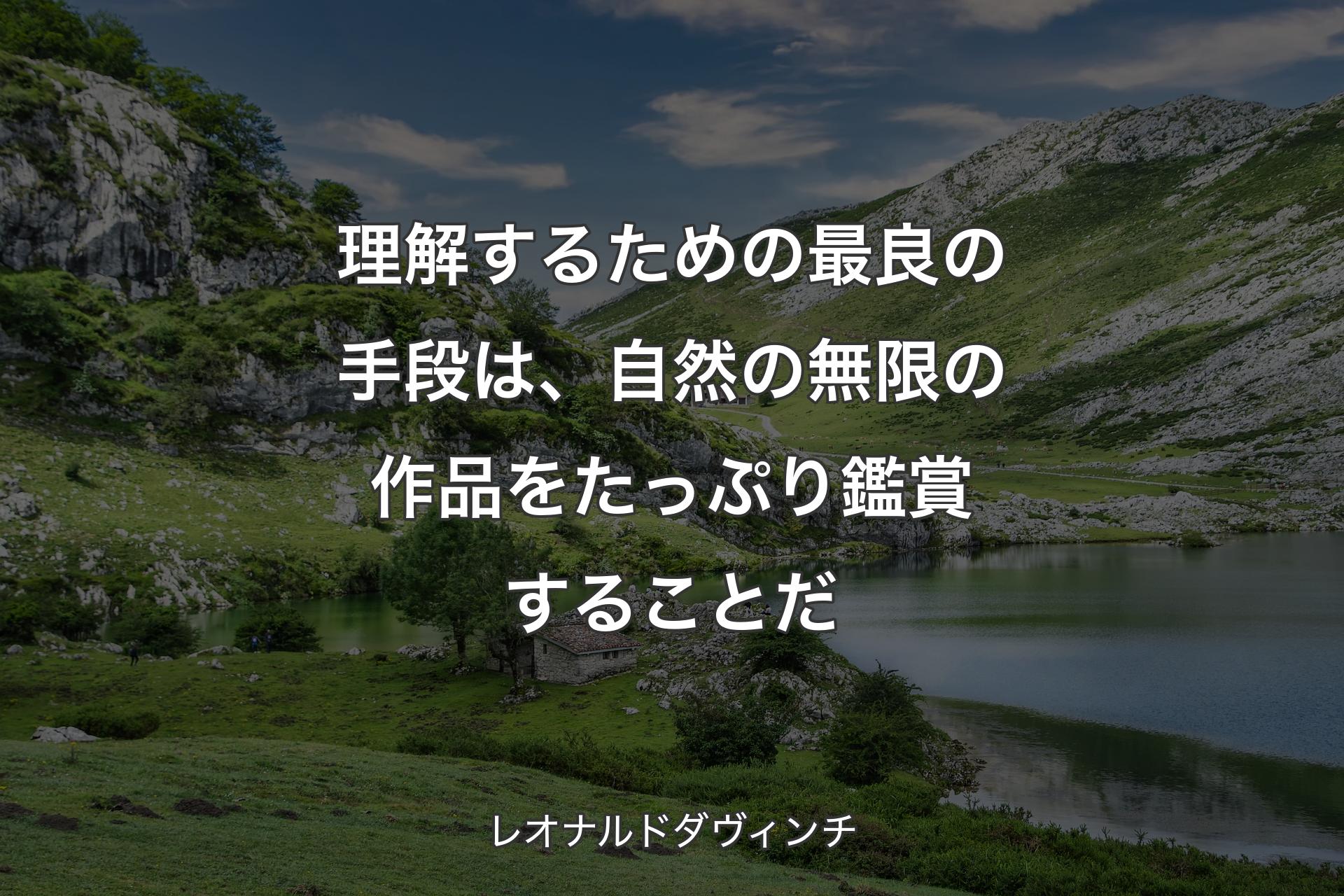 理解するための最良の手段は、自然の無限の作品をたっぷり鑑賞することだ - レオナルドダヴィンチ