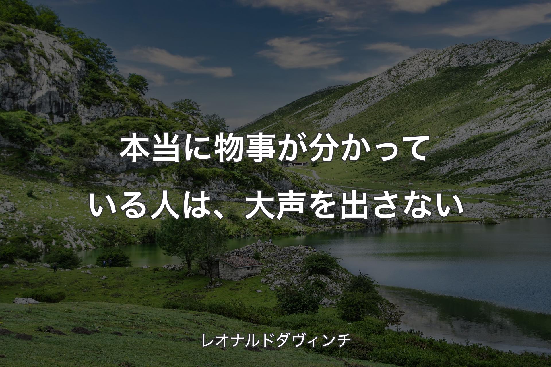 【背景1】本当に物事が分かっている人は、大声を出さない - レオナルドダヴィンチ