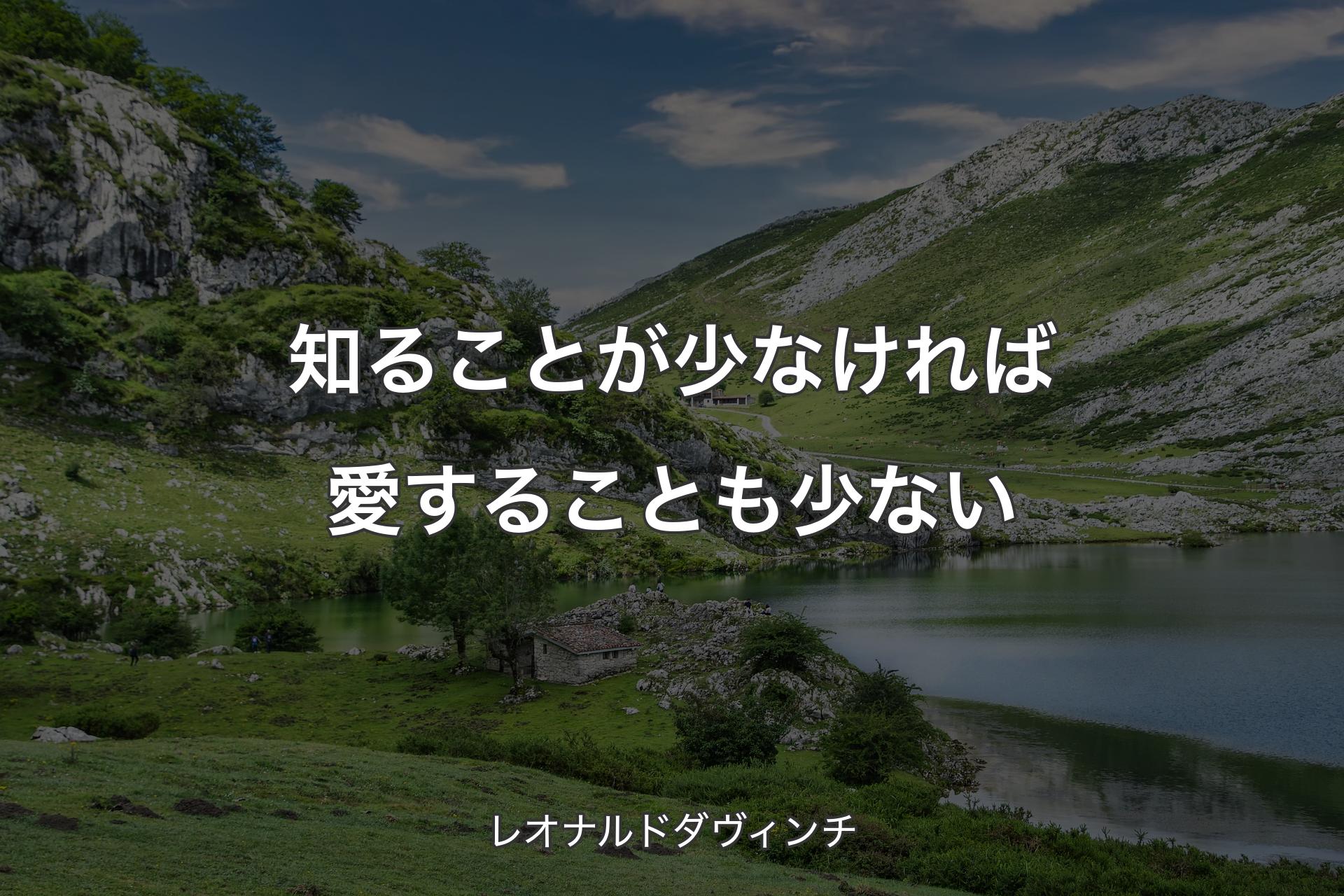 【背景1】知ることが少なければ愛することも少ない - レオナルドダヴィンチ