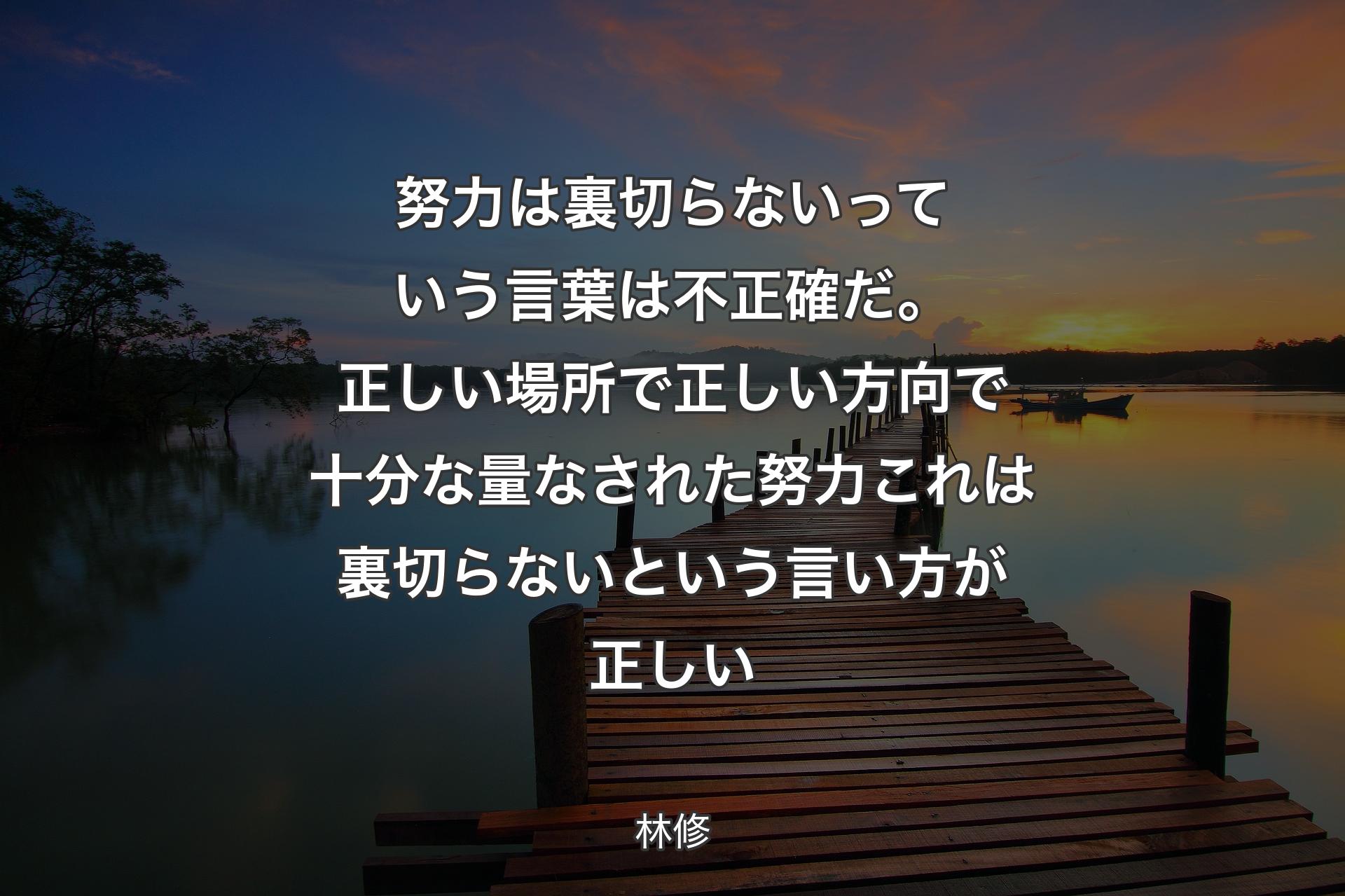 【背景3】努力は裏切らないっていう言葉は不正確だ。正しい場所で正しい方向で十分な量なされた努力これは裏切らないという言い方が正しい - 林修