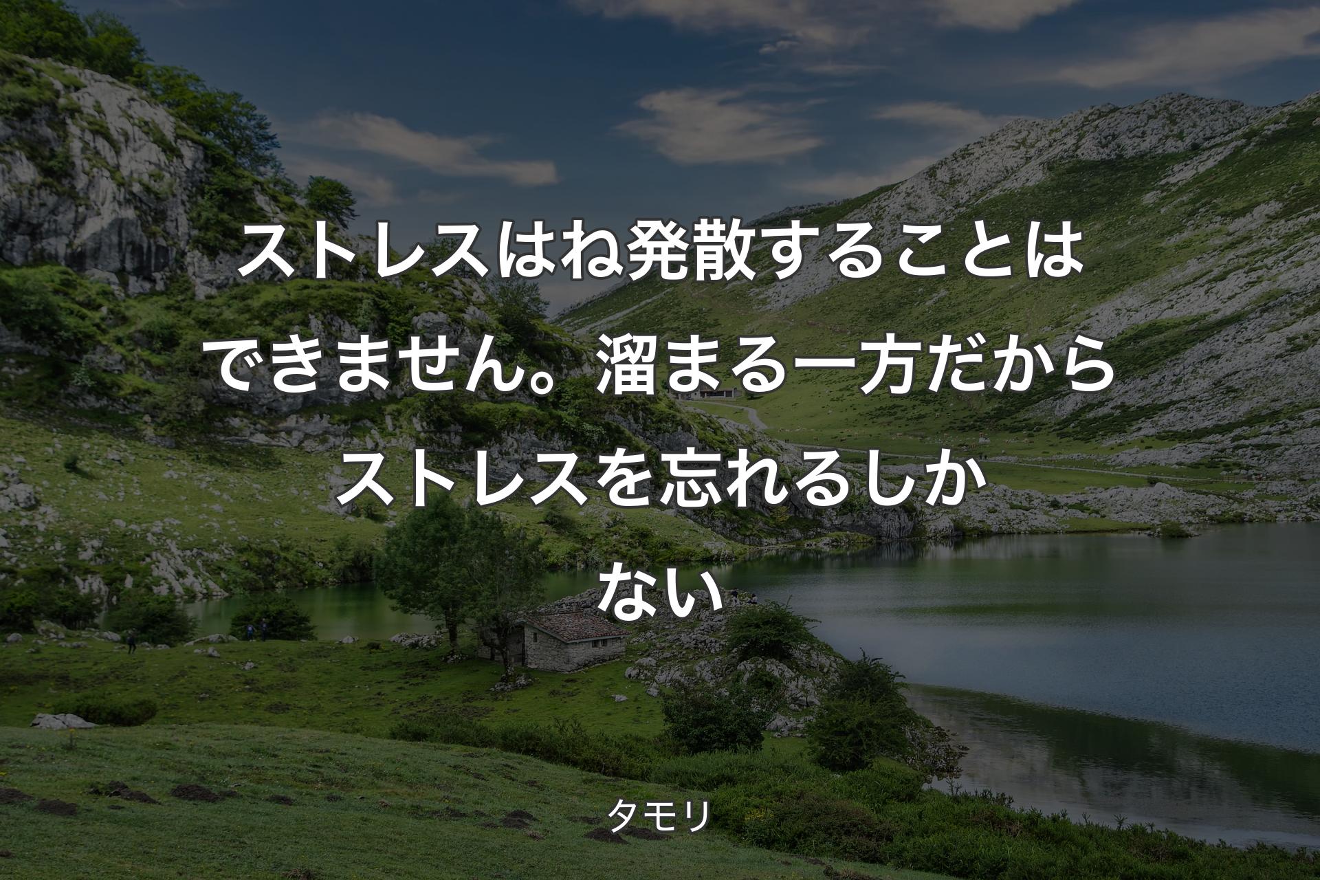 【背景1】ストレスはね発散することはできません。溜まる一方だからストレスを忘れるしかない - タモリ