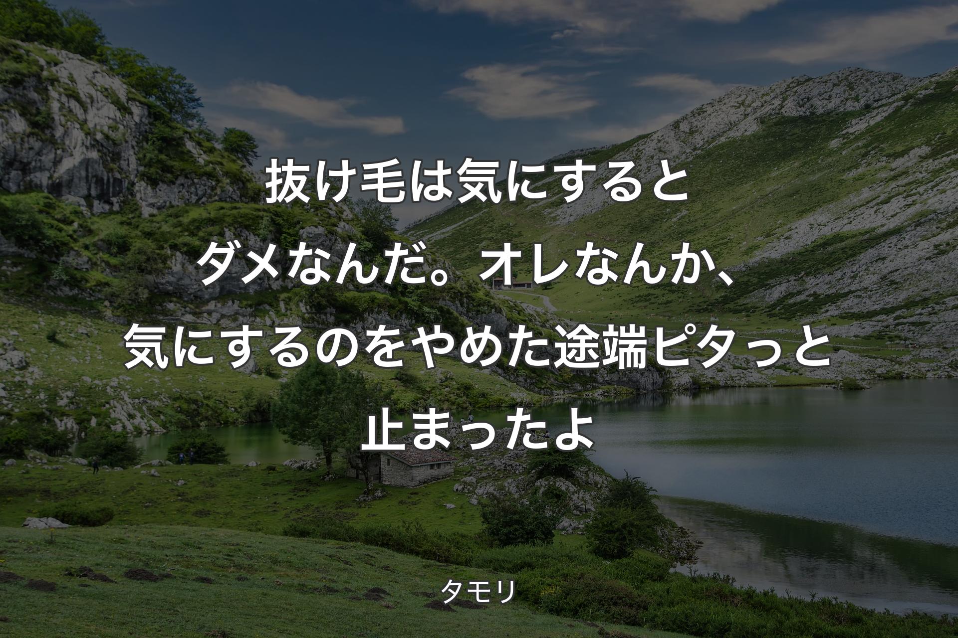 抜け毛は気にするとダメなんだ。オレなんか、気にするのをやめた途端ピタっと止まったよ - タモリ