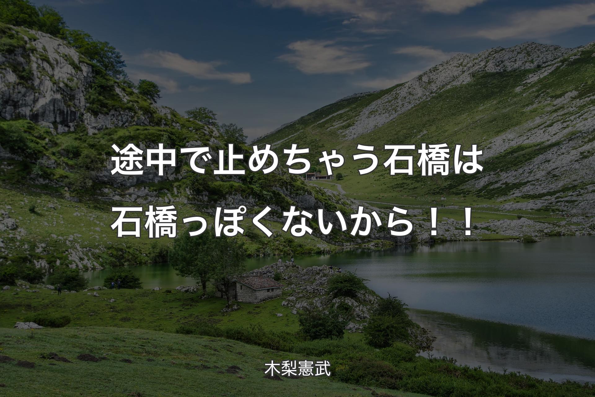 【背景1】途中で止めちゃう石橋は石橋っぽくないから！！ - 木梨憲武