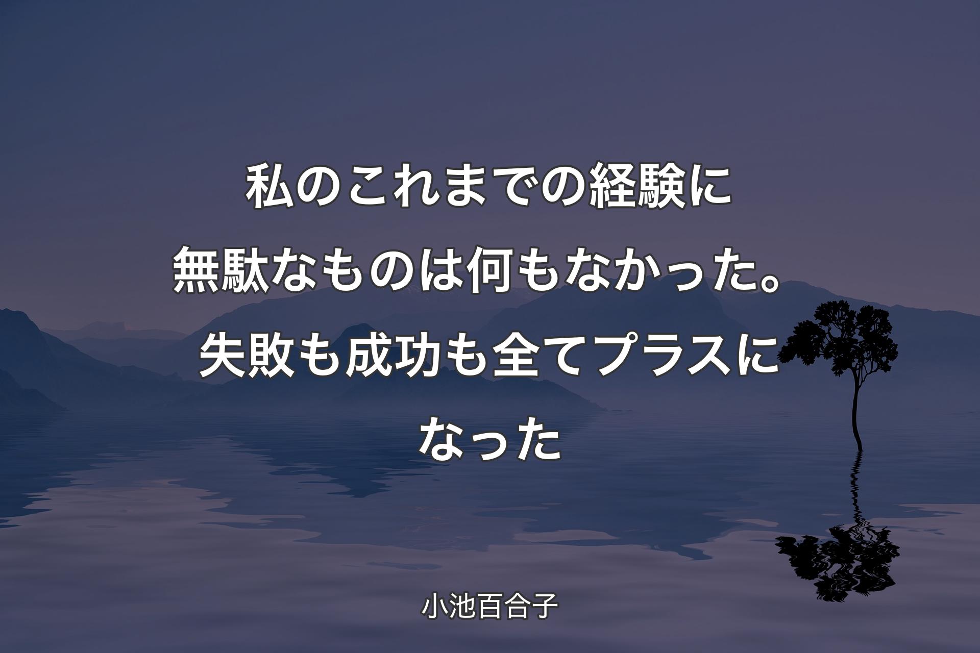 私のこれまでの経験に無駄なものは何もなかった。失敗も成功も全てプラスになった - 小池百合子