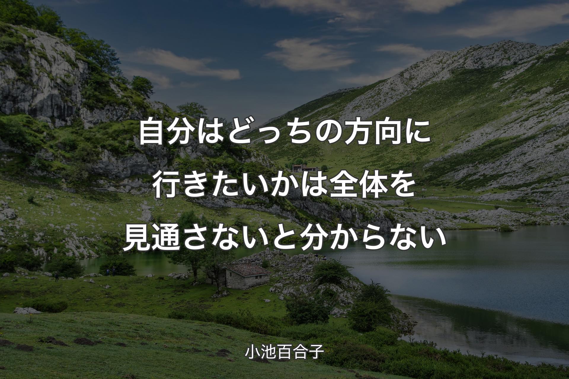 自分はどっちの方向に行きたいかは全体を見通さないと分からない - 小池百合子