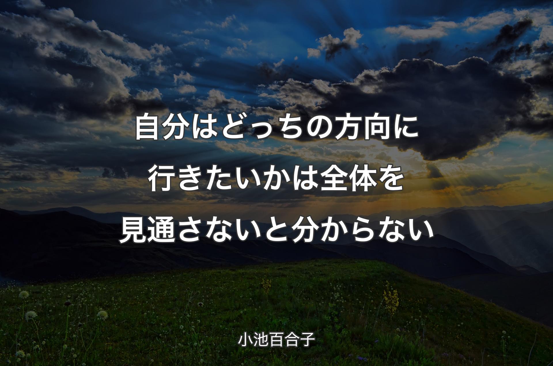 自分はどっちの方向に行きたいかは全体を見通さないと分からない - 小池百合子