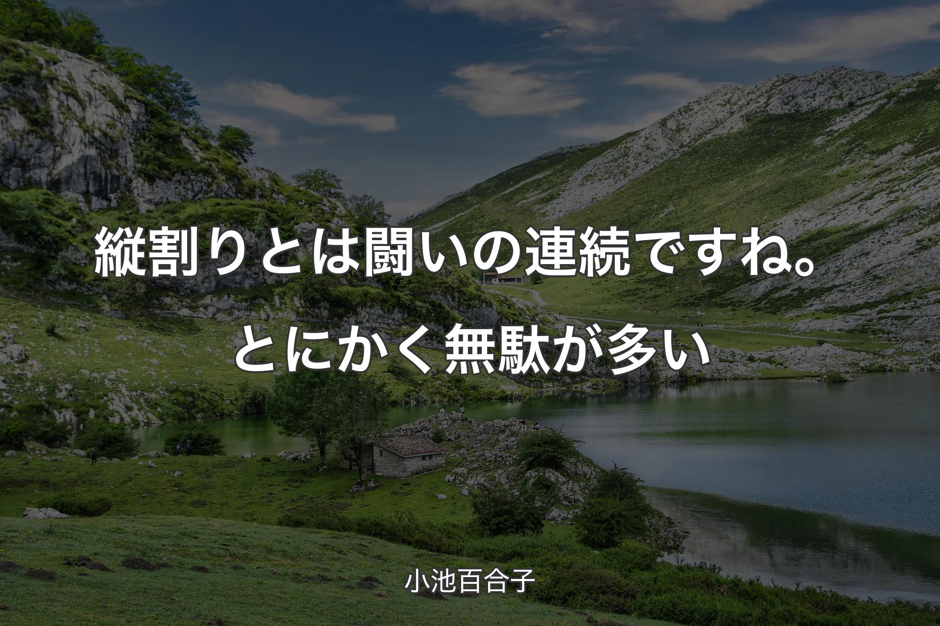 【背景1】縦割りとは闘いの連続ですね。とにかく無駄が多い - 小池百合子