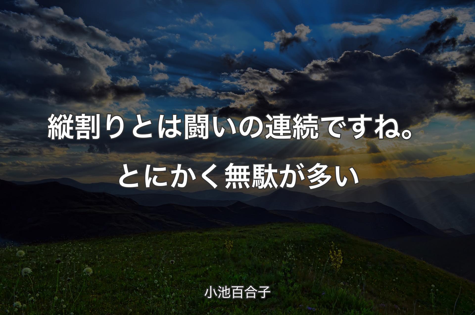 縦割りとは闘いの連続ですね。とにかく無駄が多い - 小池百合子