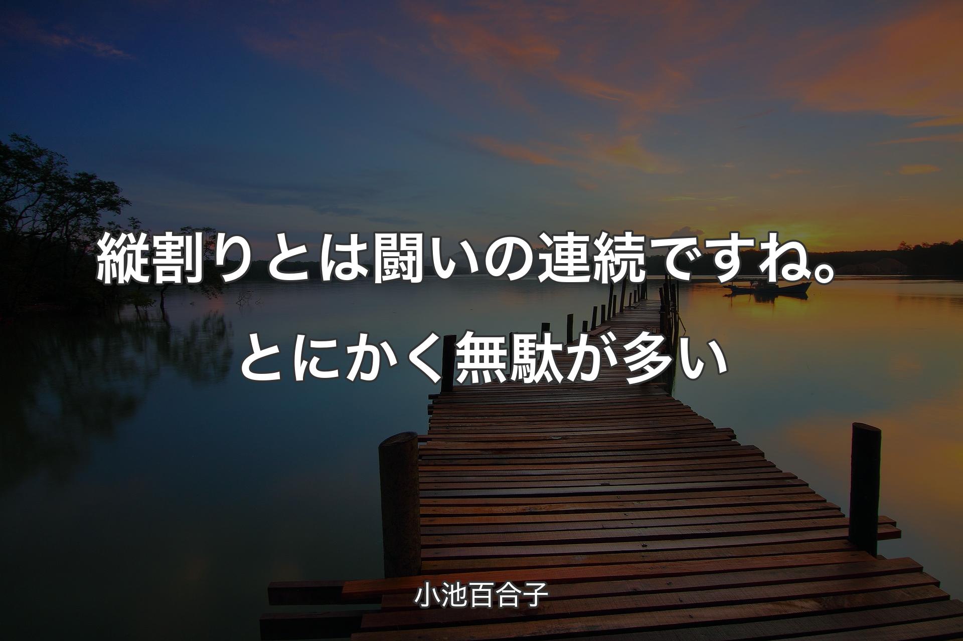 【背景3】縦割りとは闘いの連続ですね。とにかく無駄が多い - 小池百合子