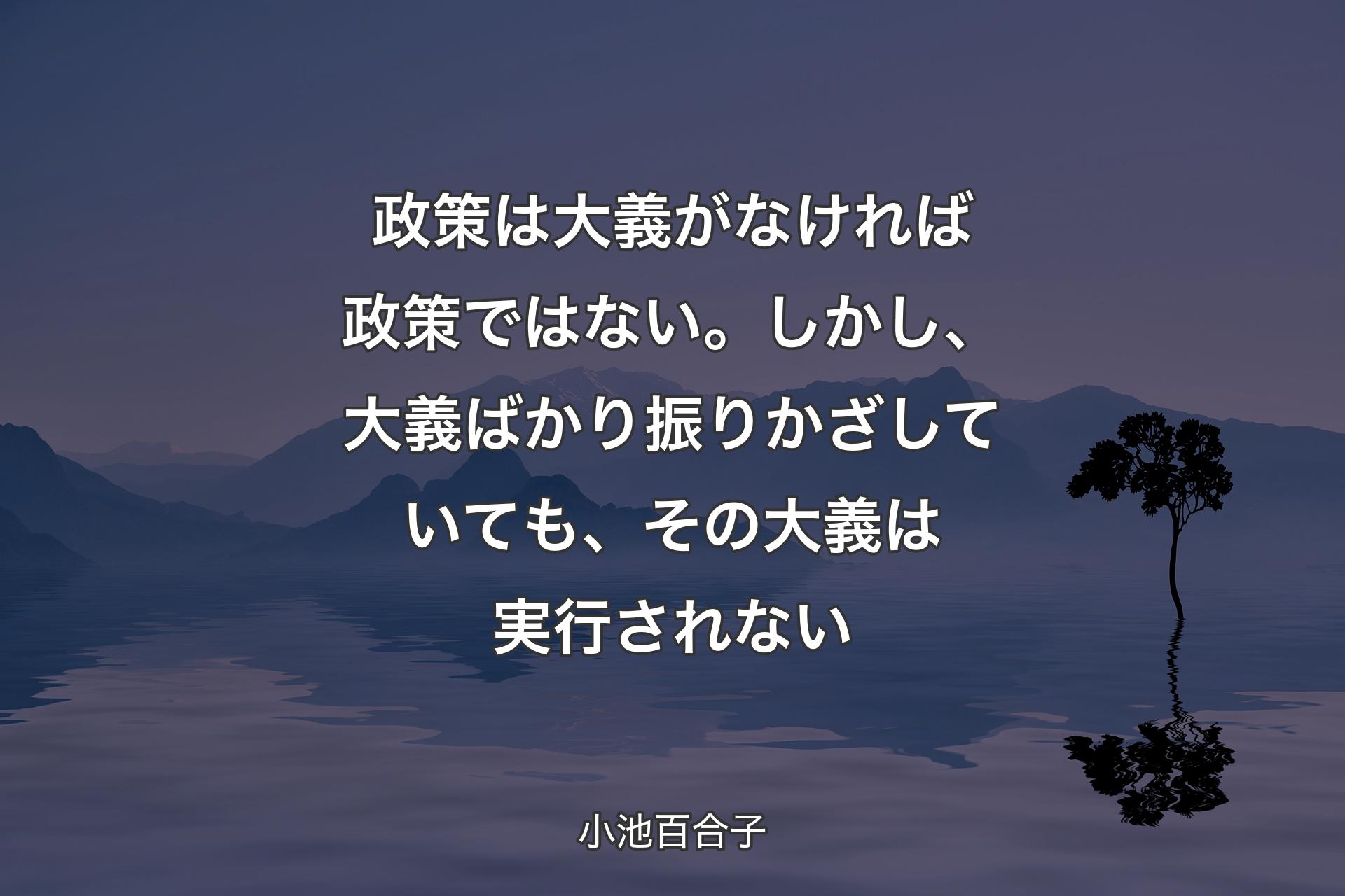 【背景4】政策は大義がなければ政策ではない。しかし、大義ばかり振りかざしていても、その大義は実行されない - 小池百合子