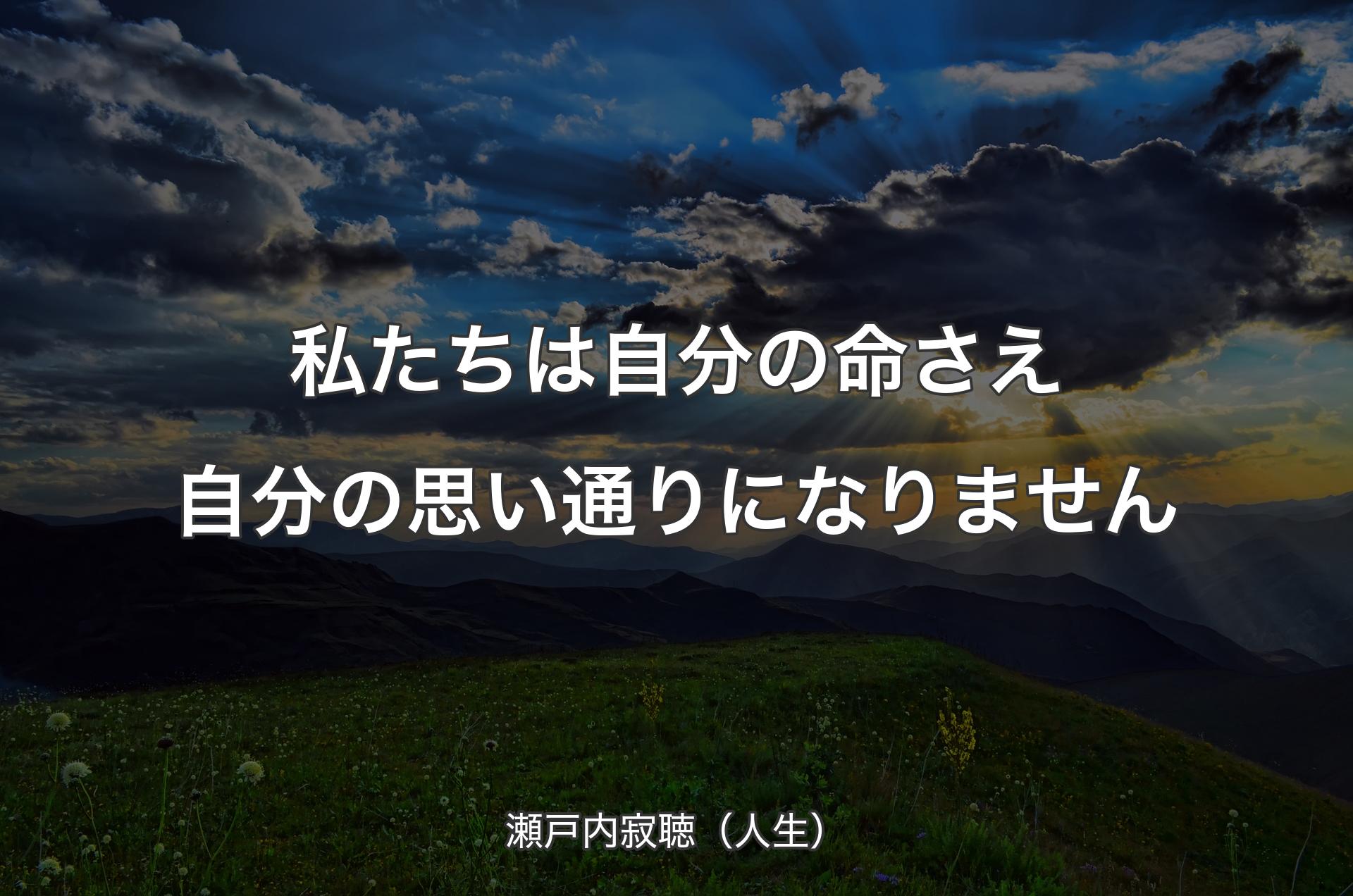 私たちは自分の命さえ自分の思い通りになりません - 瀬戸内寂聴（人生）