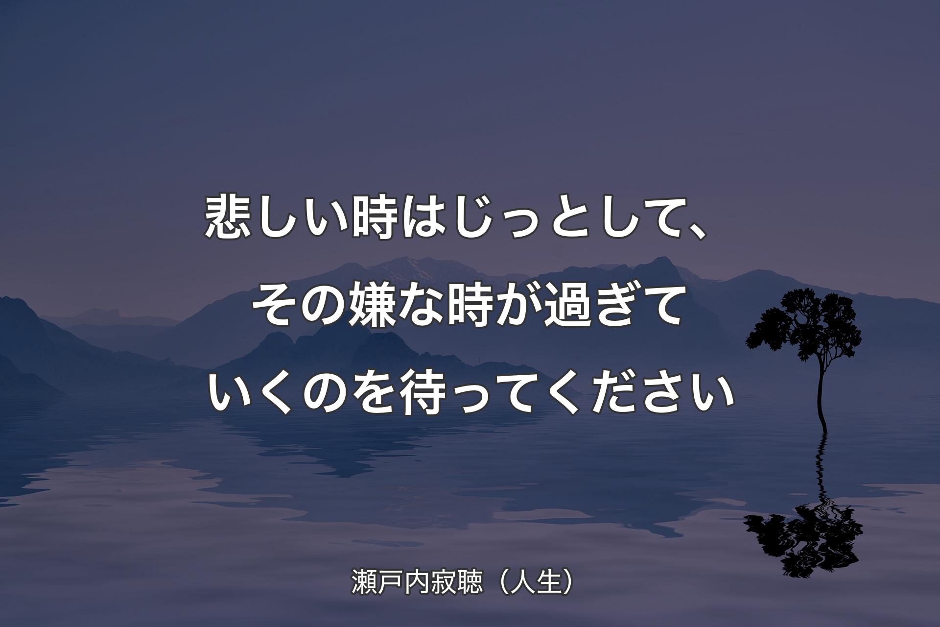 悲しい時はじっとして、その嫌な時が過ぎていくのを待ってください - 瀬戸内寂聴（人生）