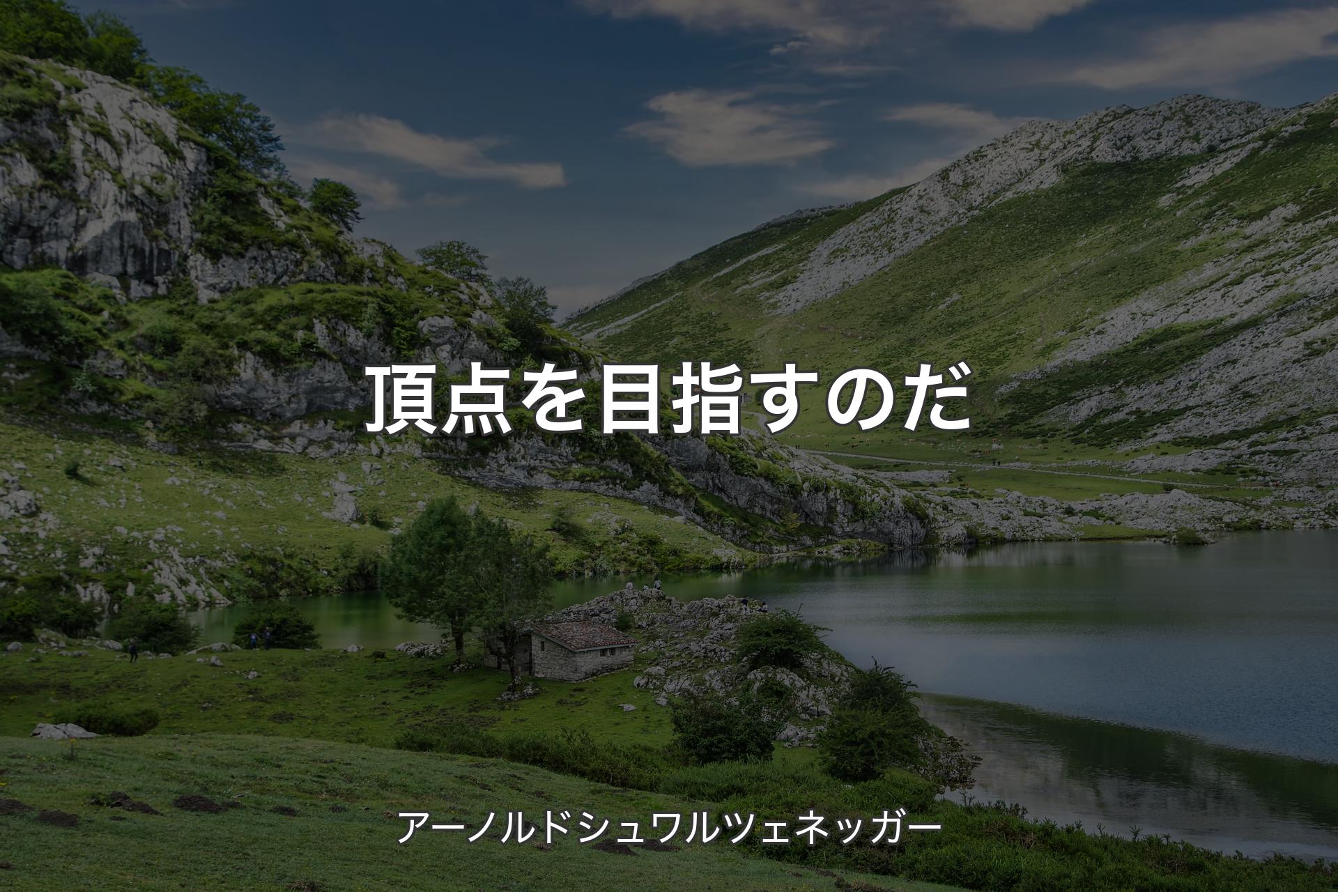 【背景1】頂点を目指すのだ - アーノルドシュワルツェネッガー