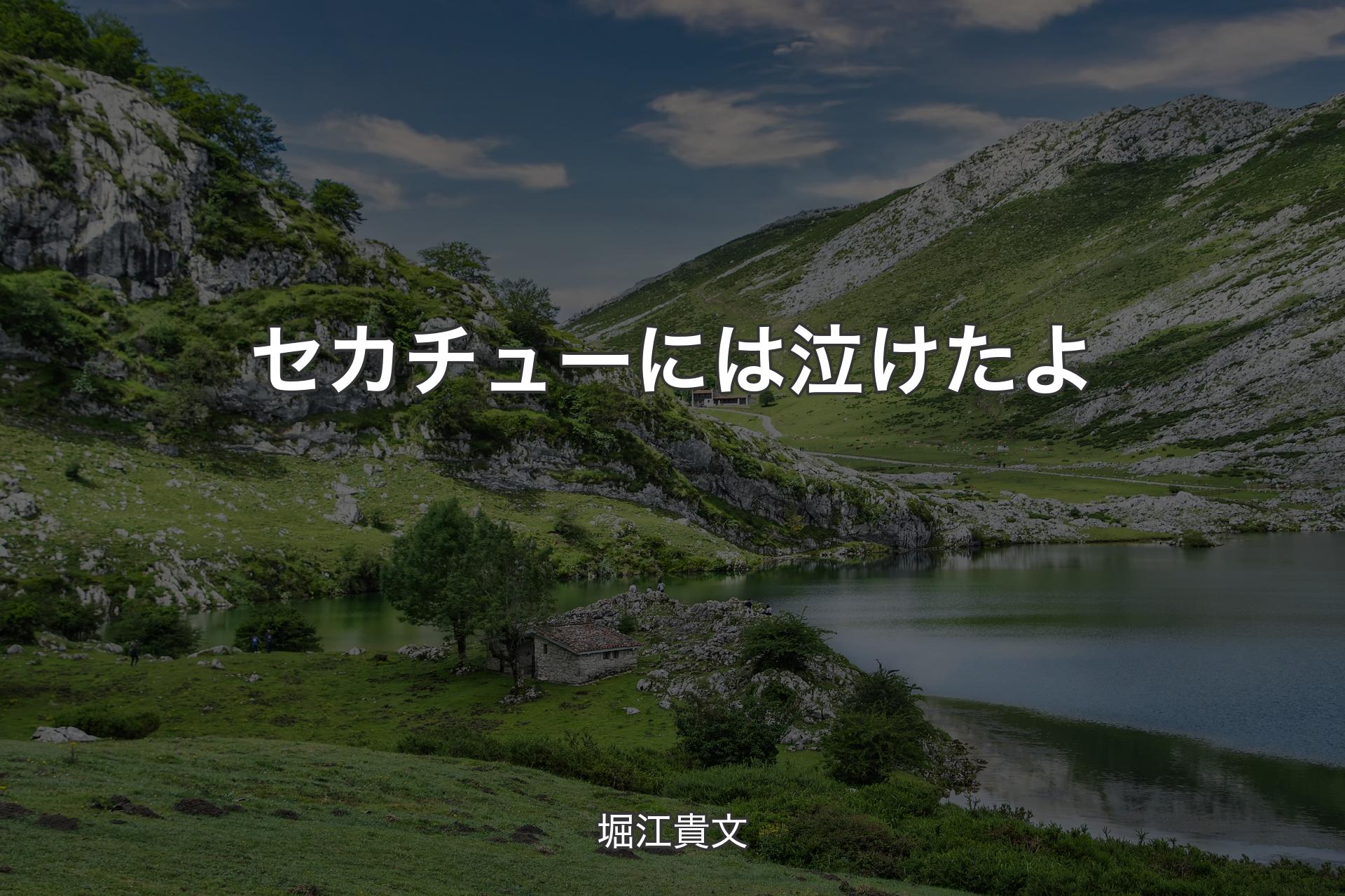 【背景1】セカチューには泣けたよ - 堀江貴文