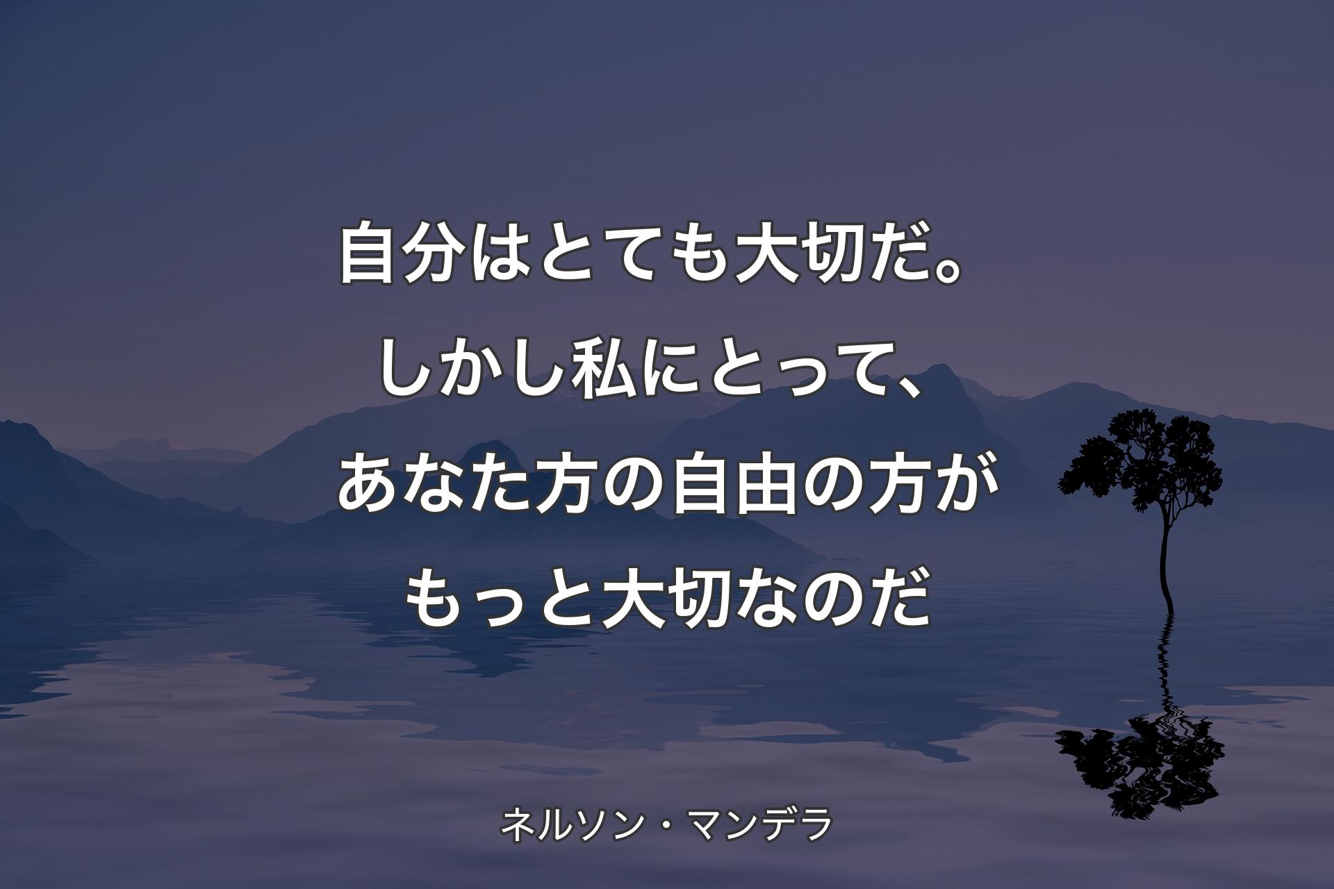 【背景4】自分はとても大切だ。しかし私にとって、あなた方の自由の方がもっと大切なのだ - ネルソン・マンデラ